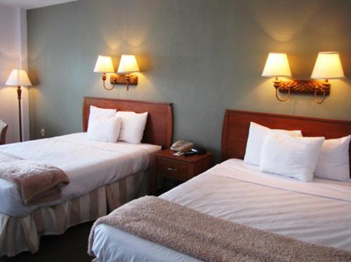 Blue Marlin Motel photo 9