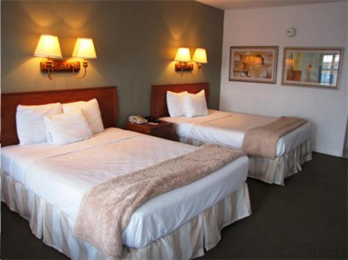 Blue Marlin Motel photo 8