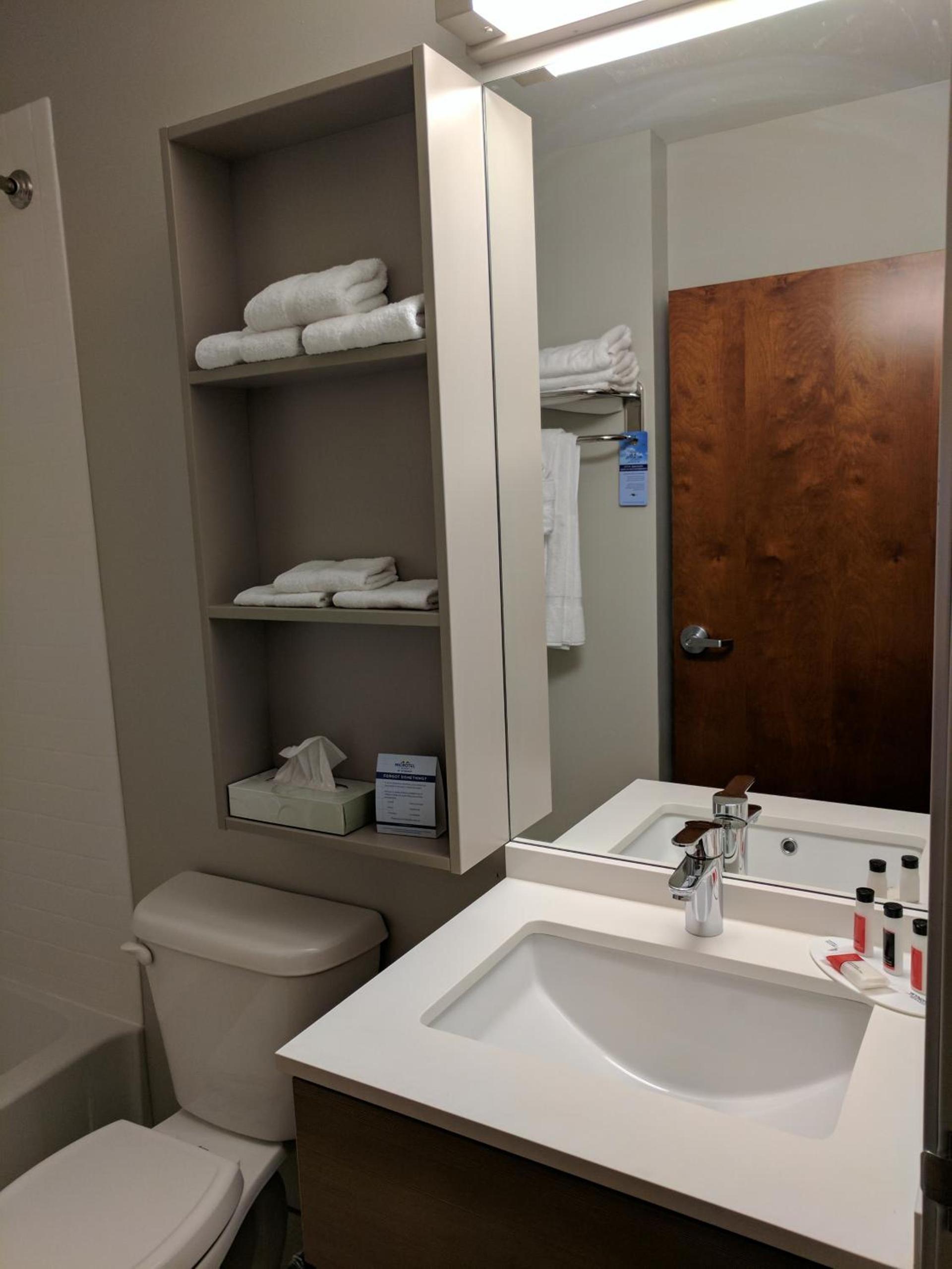 Microtel Inn & Suites by Wyndham Clarion photo 65