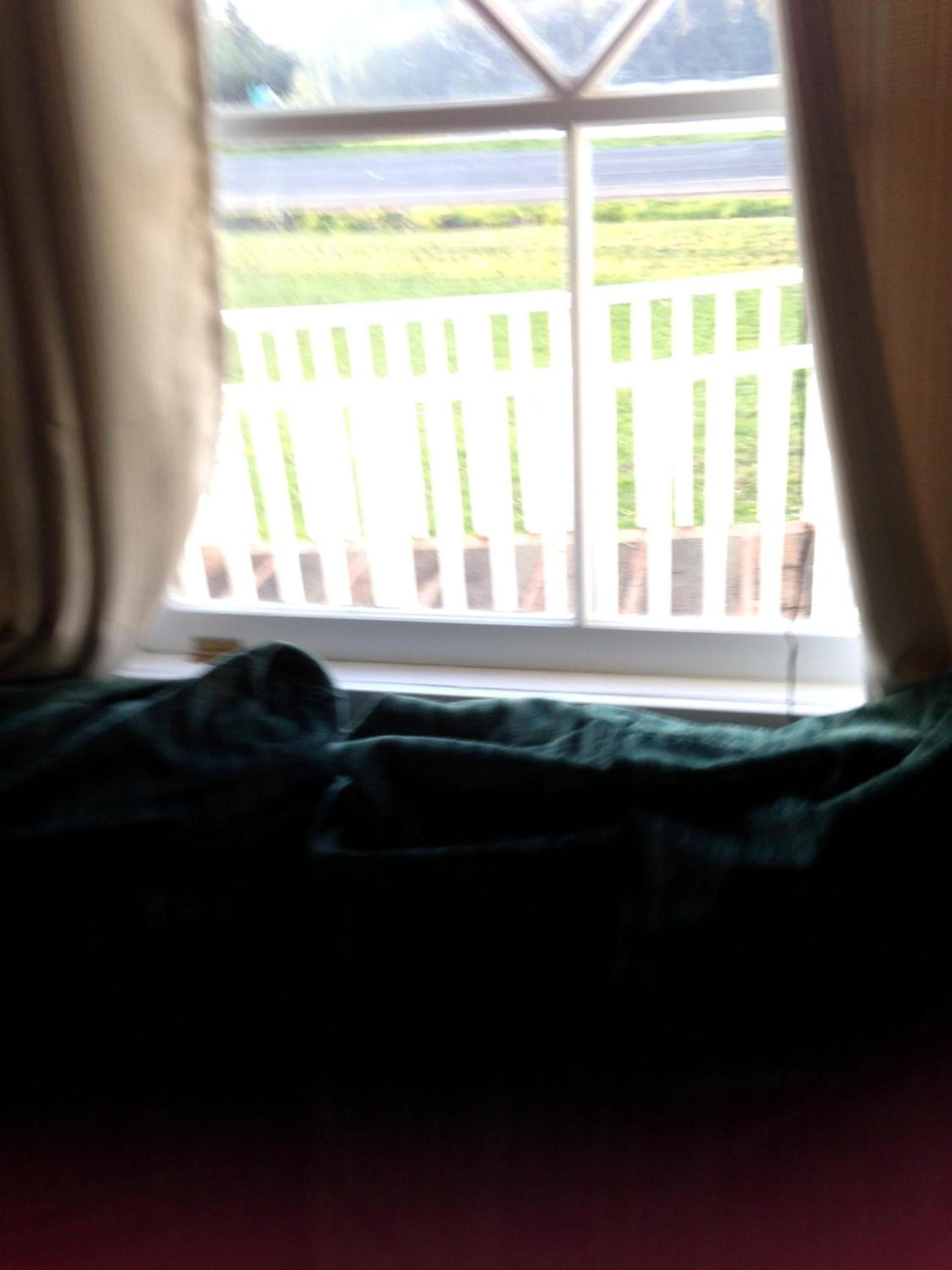 Foster Lake Inn photo 42