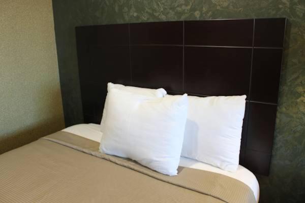 Crystal Inn Suites & Spas photo 53
