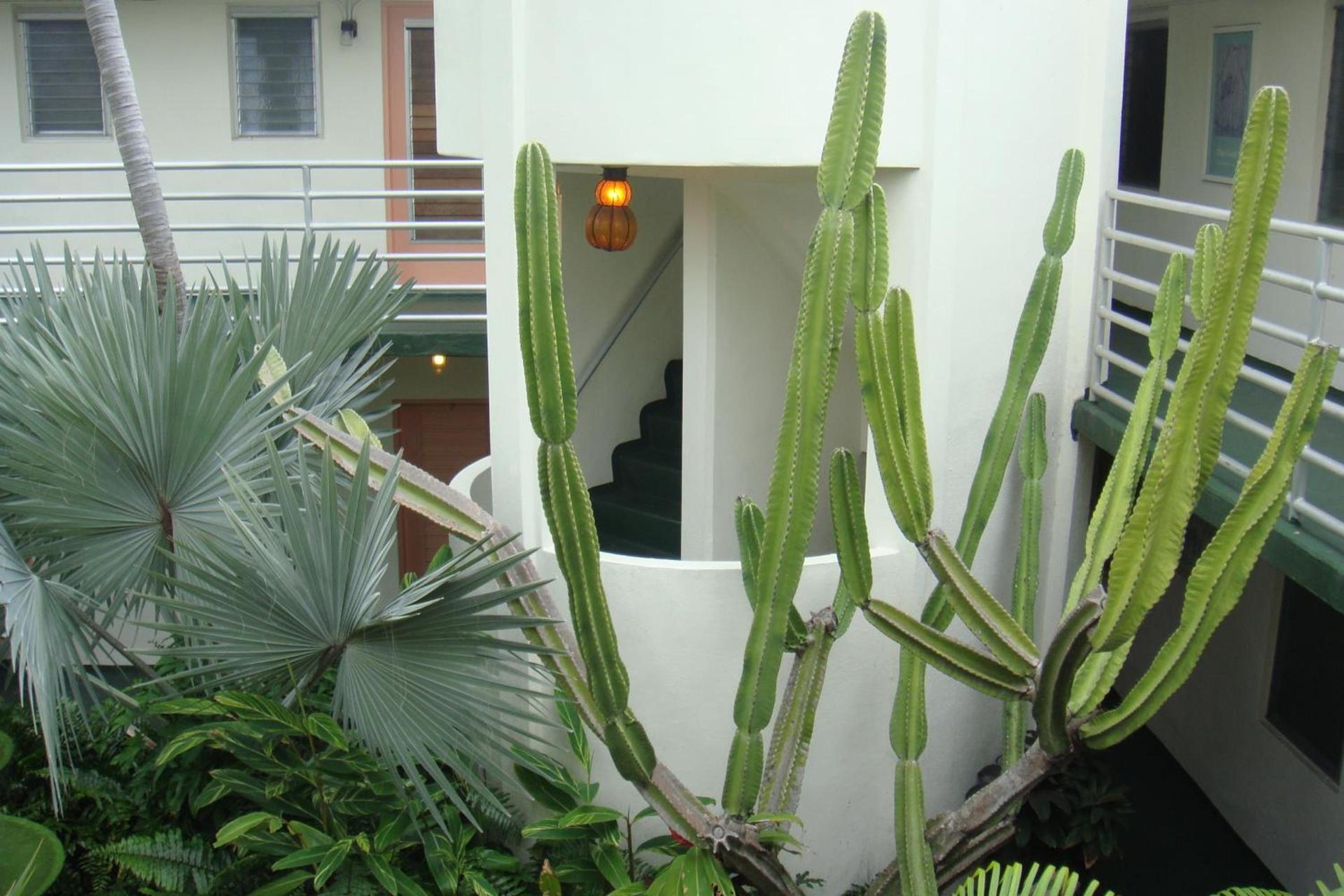 El Patio Motel photo 16