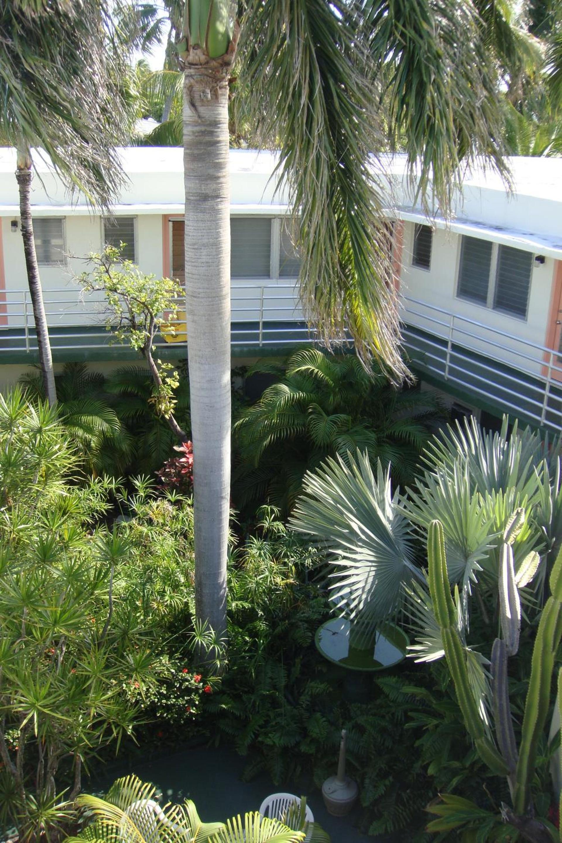 El Patio Motel photo 20