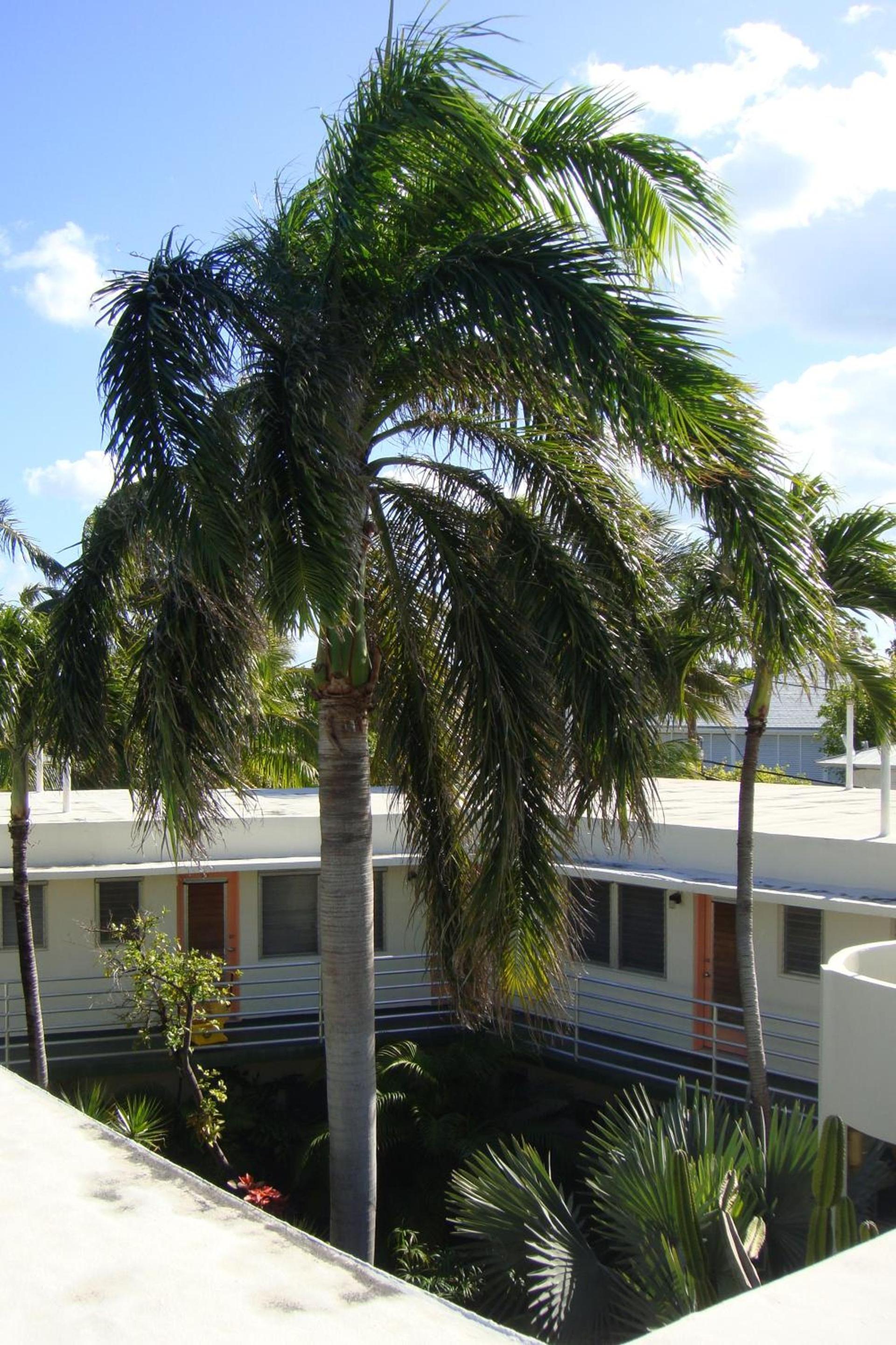 El Patio Motel photo 12