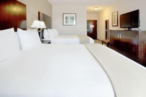 Holiday Inn Express Hotel & Suites Houston NW Beltway 8-West Road by IHG photo 4