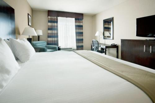 Holiday Inn Express Hotel & Suites Houston NW Beltway 8-West Road by IHG photo 6