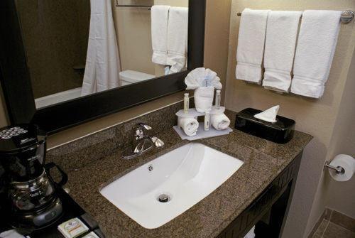 Holiday Inn Express Hotel & Suites Houston NW Beltway 8-West Road by IHG photo 11
