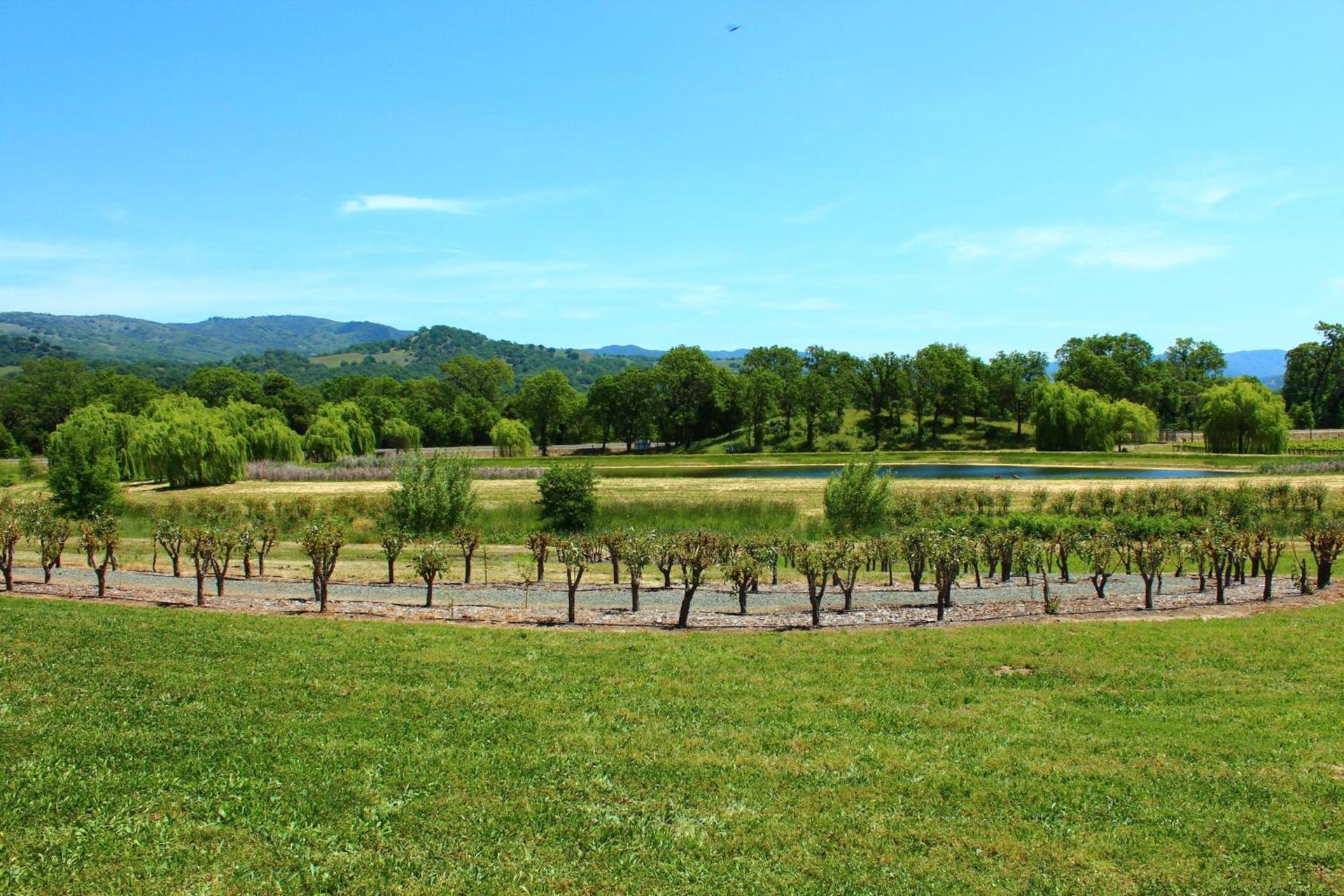 The Orchard Hotel Ukiah Wine Country Free Breakfast, Pool, & Hot Tub photo 46