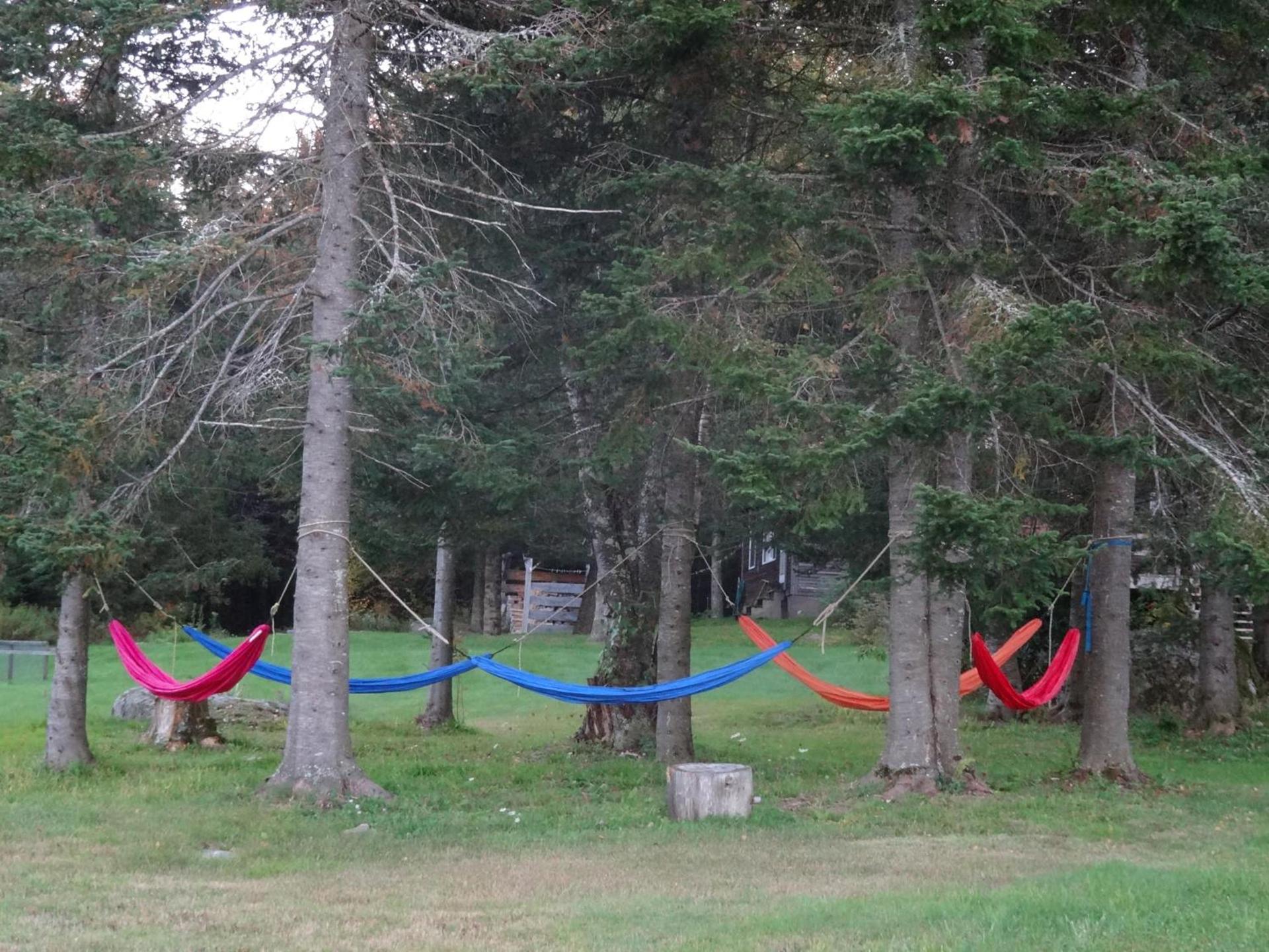 Robert Frost Mountain Cabins photo 30