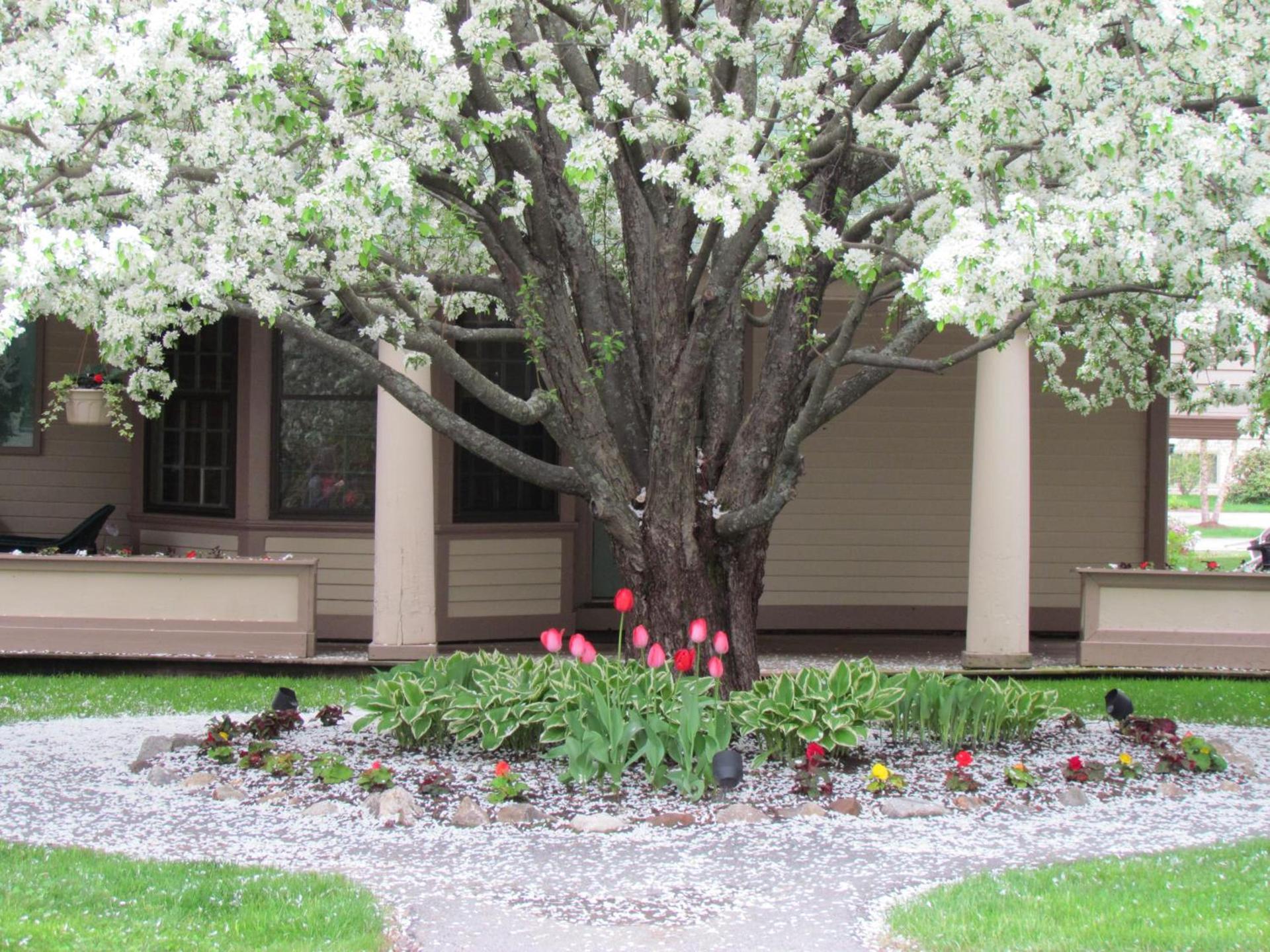 The Wentworth photo 18