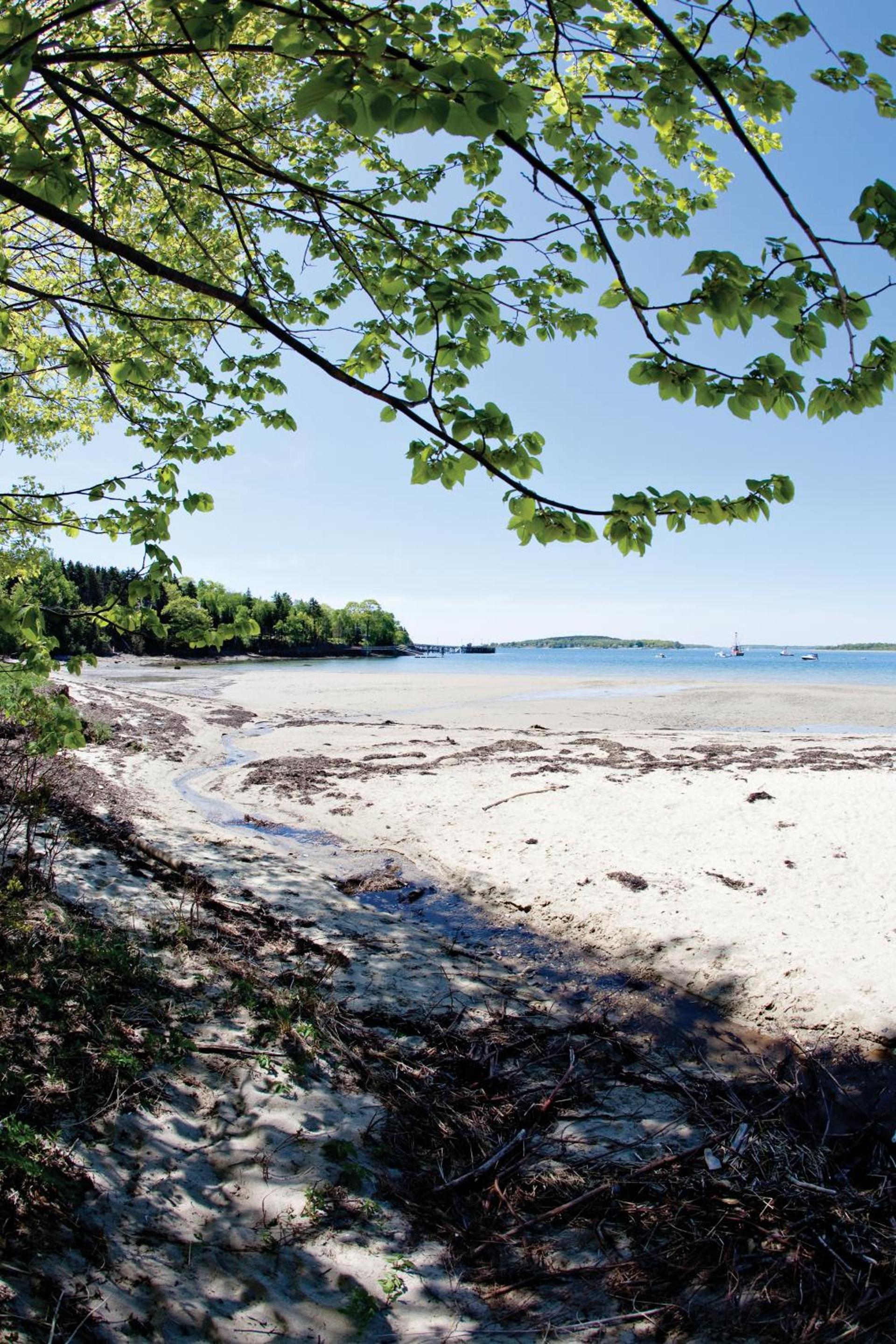 Chebeague Island Inn photo 31