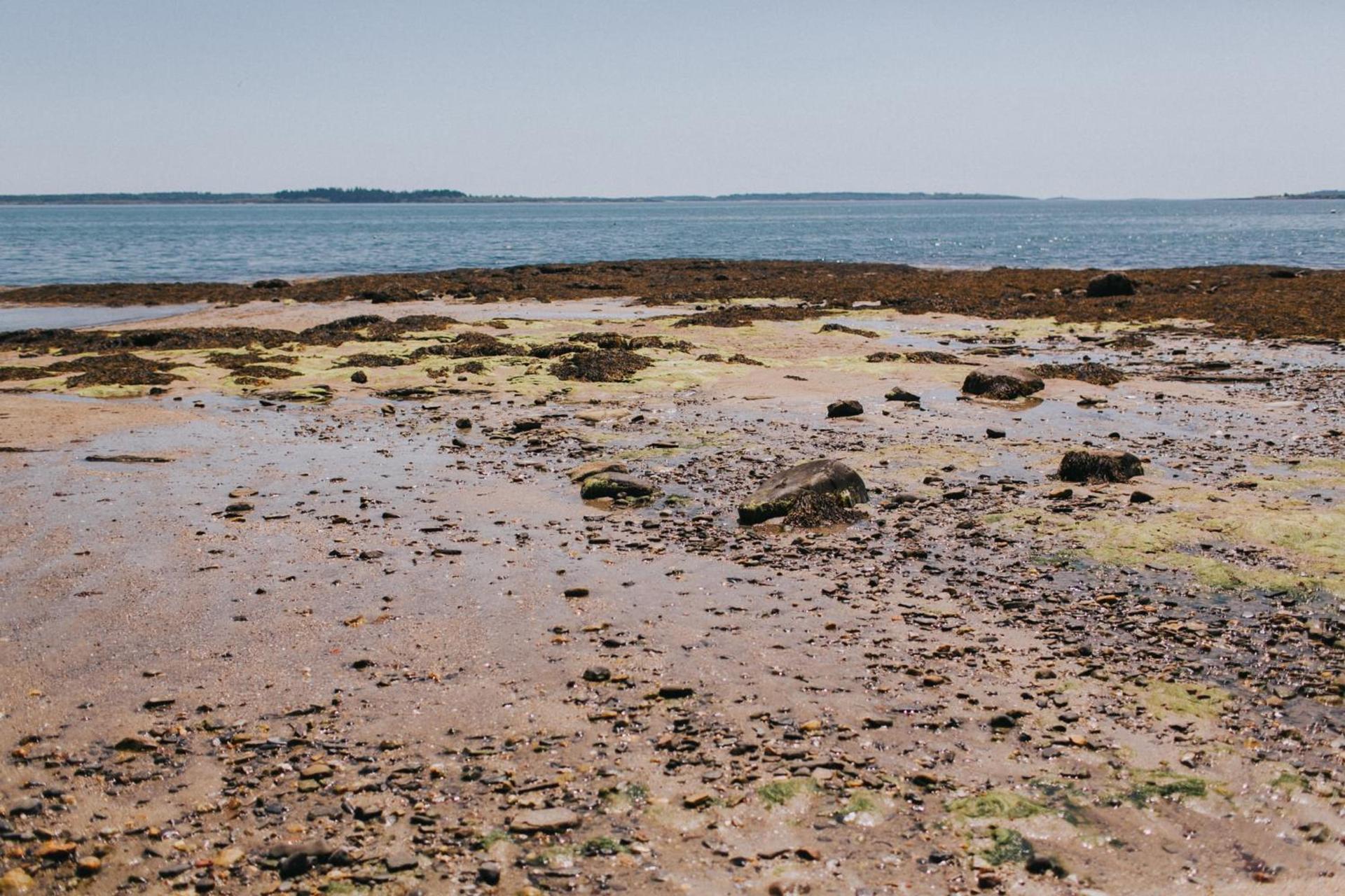 Chebeague Island Inn photo 51