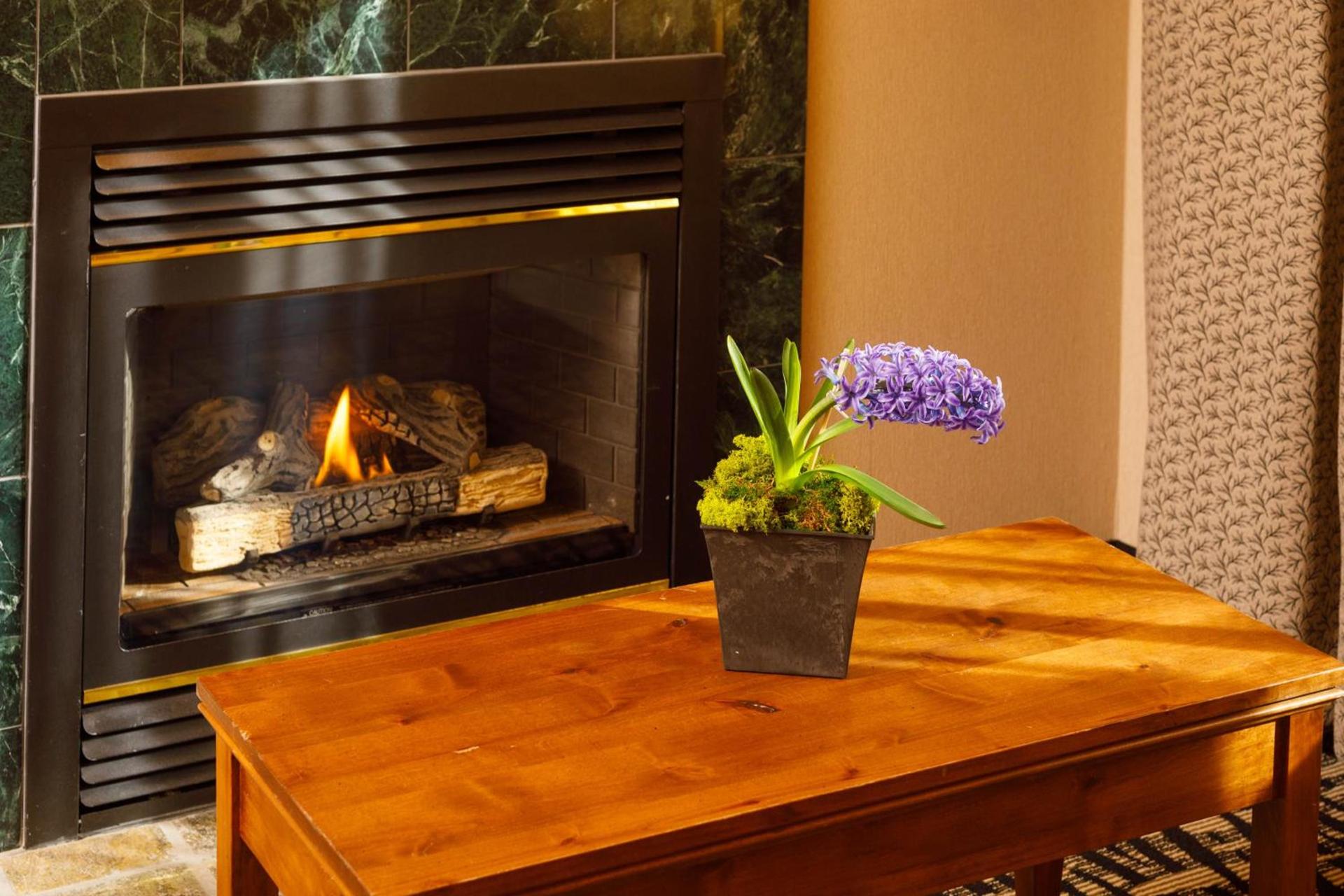 49'er Inn & Suites photo 14