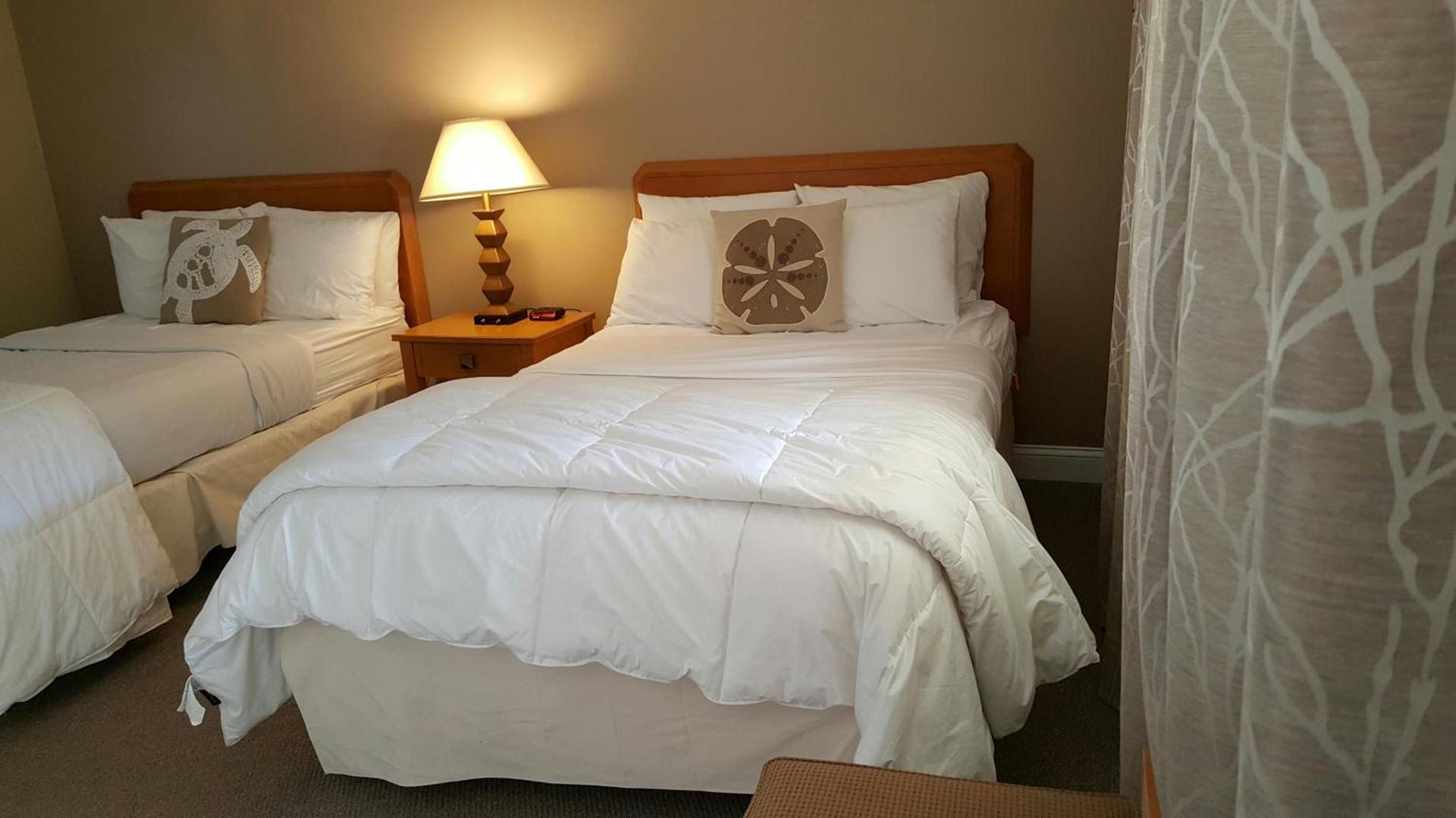 Starlight Lodge Cape Cod photo 29