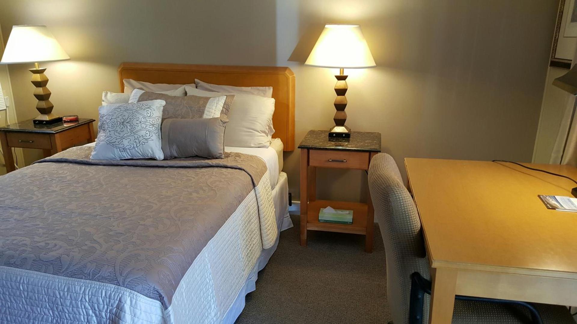 Starlight Lodge Cape Cod photo 16
