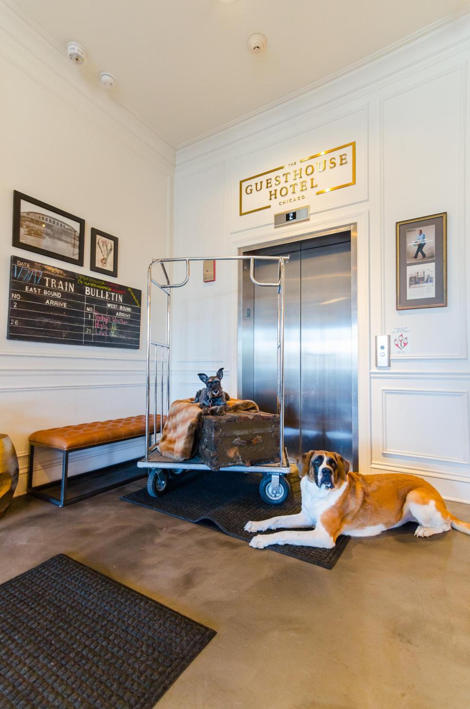 The Guesthouse Hotel photo 5