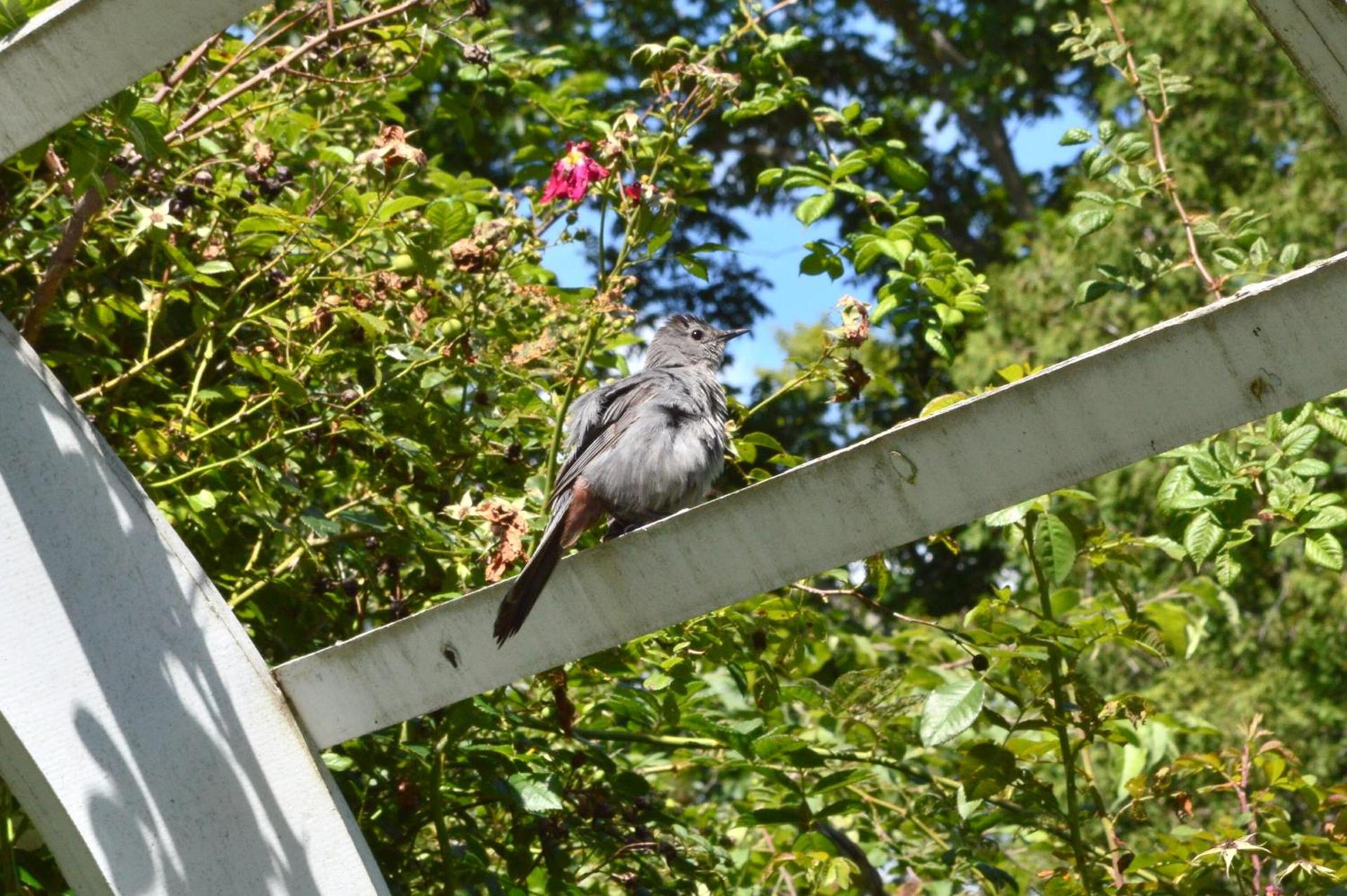 The Brewster Inn photo 31