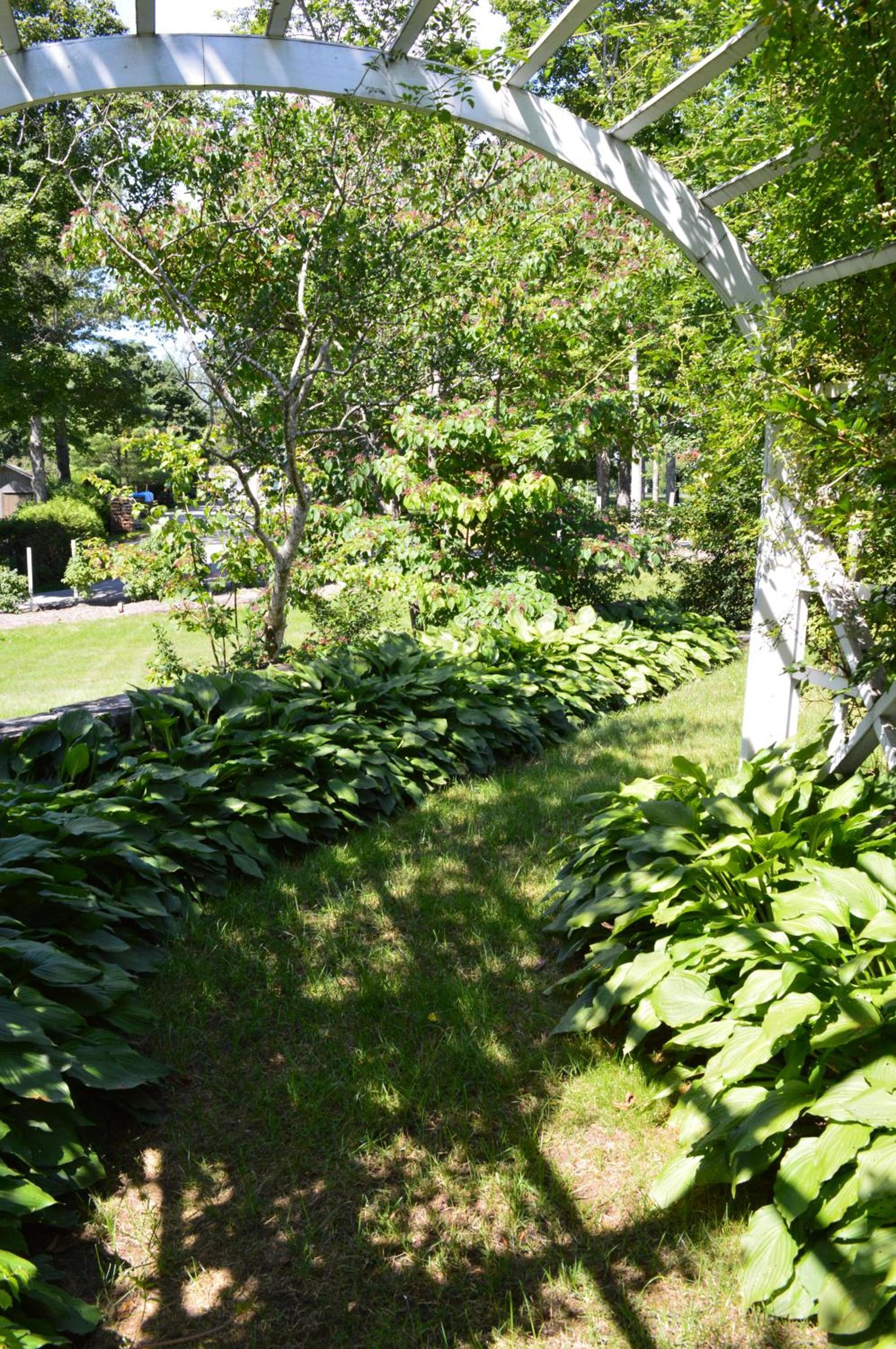 The Brewster Inn photo 32