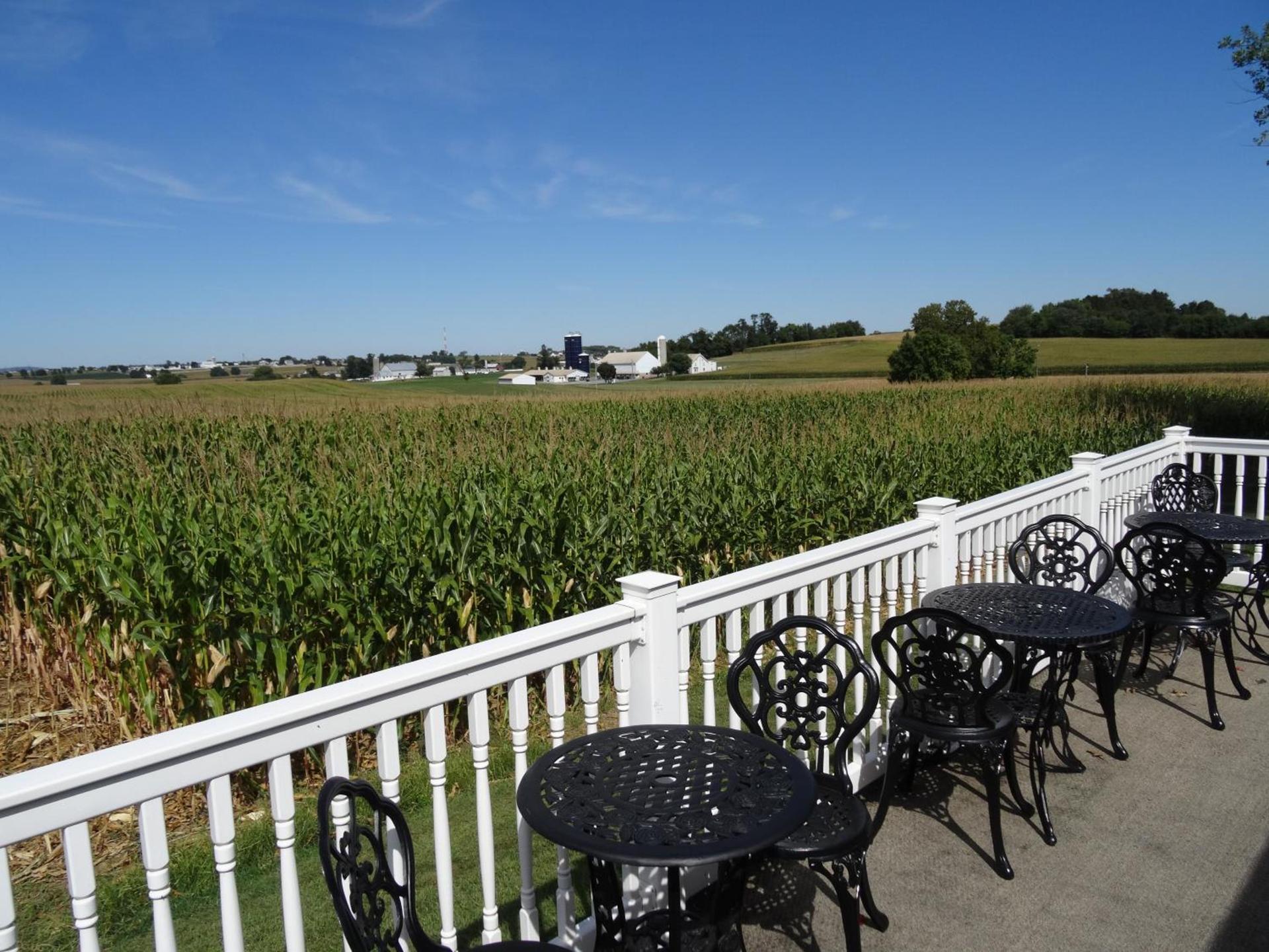 Amish Country Motel photo 5
