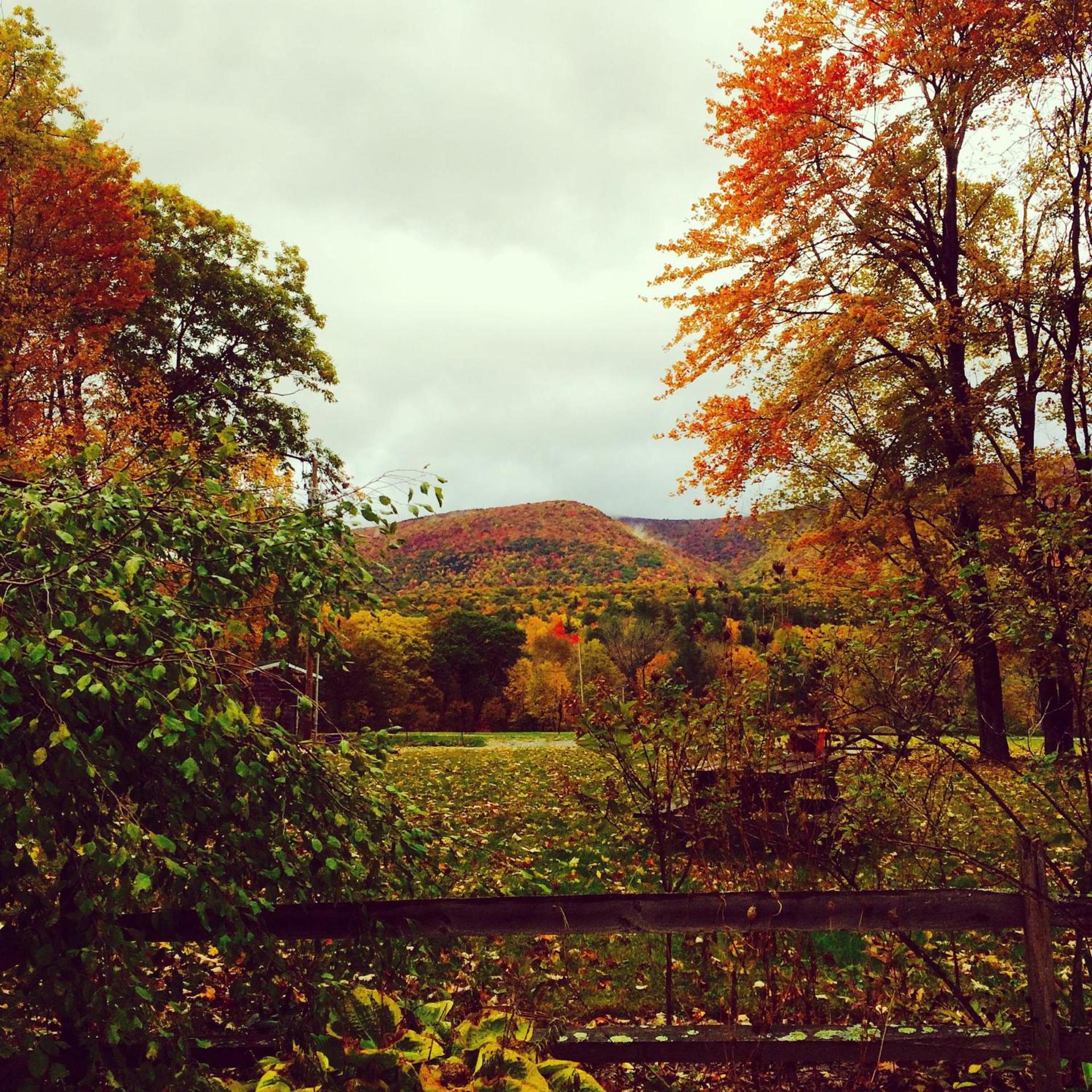 Aerie Inn of Vermont photo 18