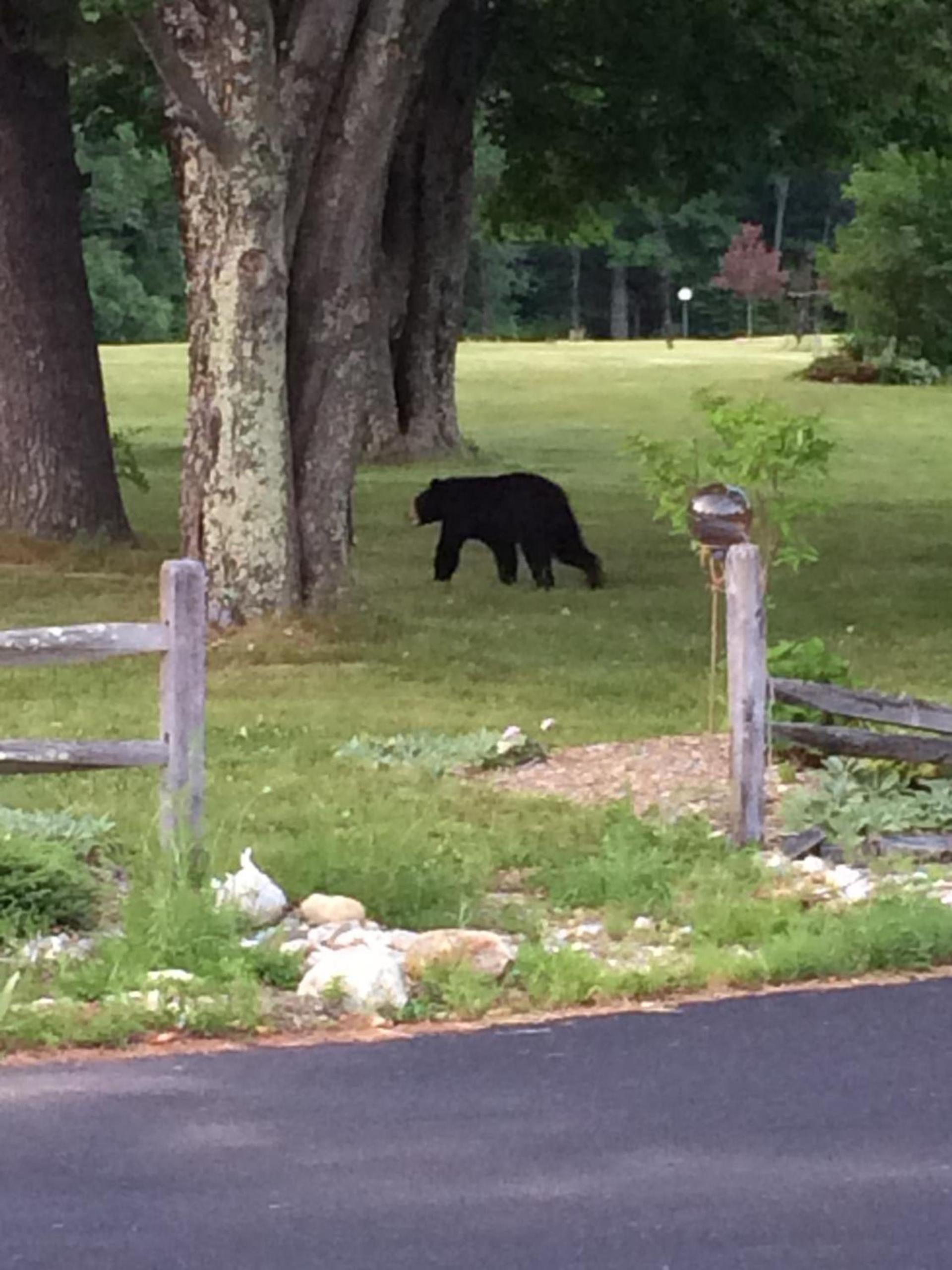 Aerie Inn of Vermont photo 17