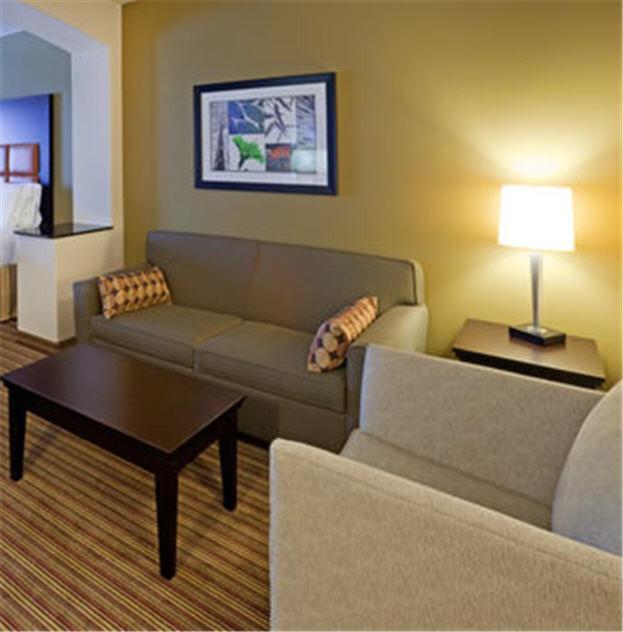 Holiday Inn Express Hotel & Suites Dallas West by IHG photo 3