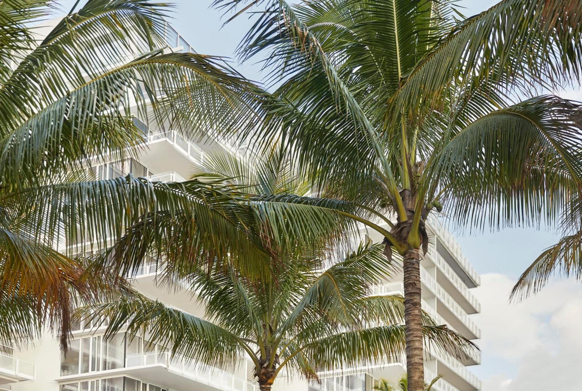 Four Seasons Hotel at The Surf Club photo 27