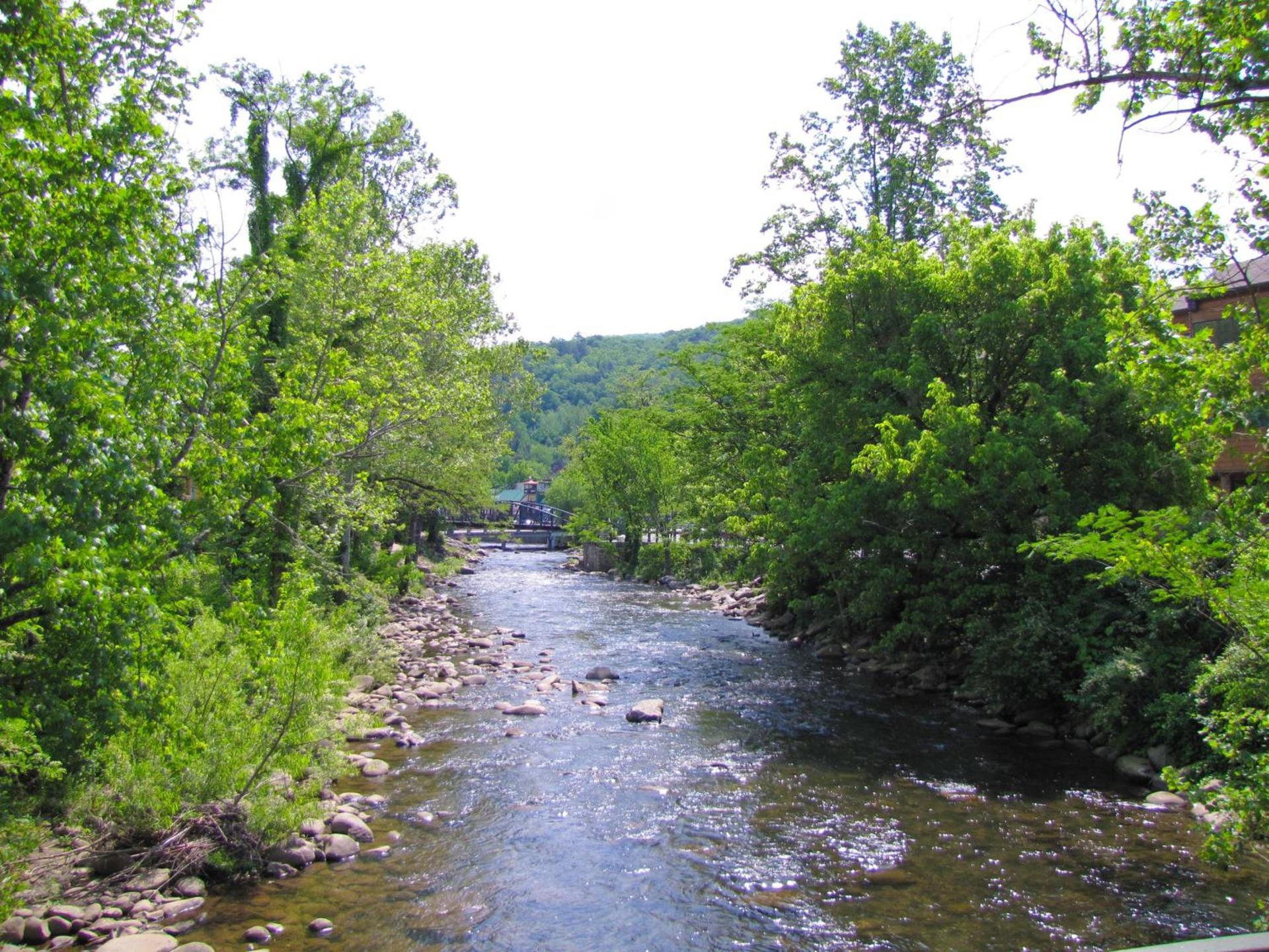 River Terrace Resort & Convention Center photo 37