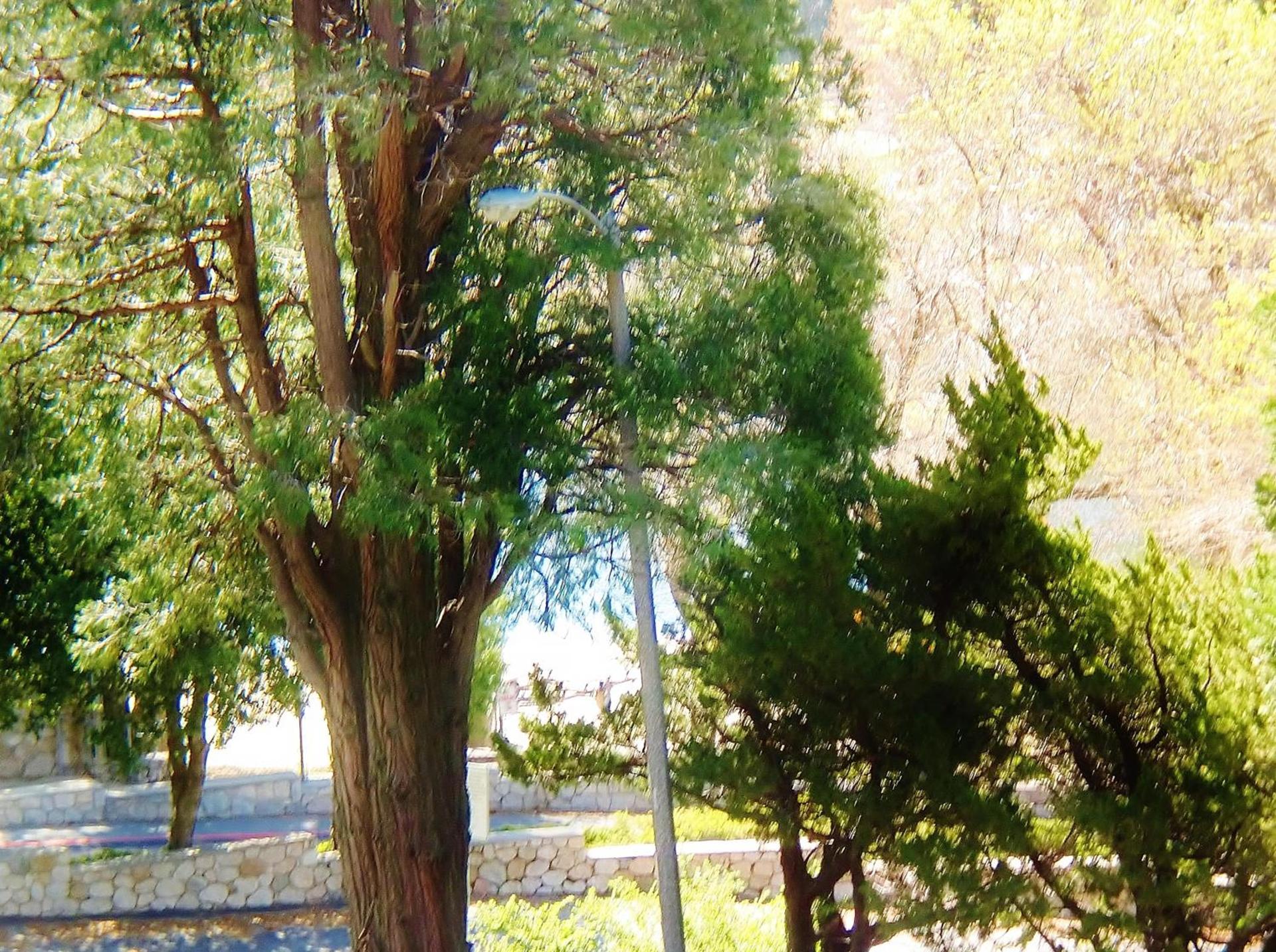 The North Shore Inn photo 82