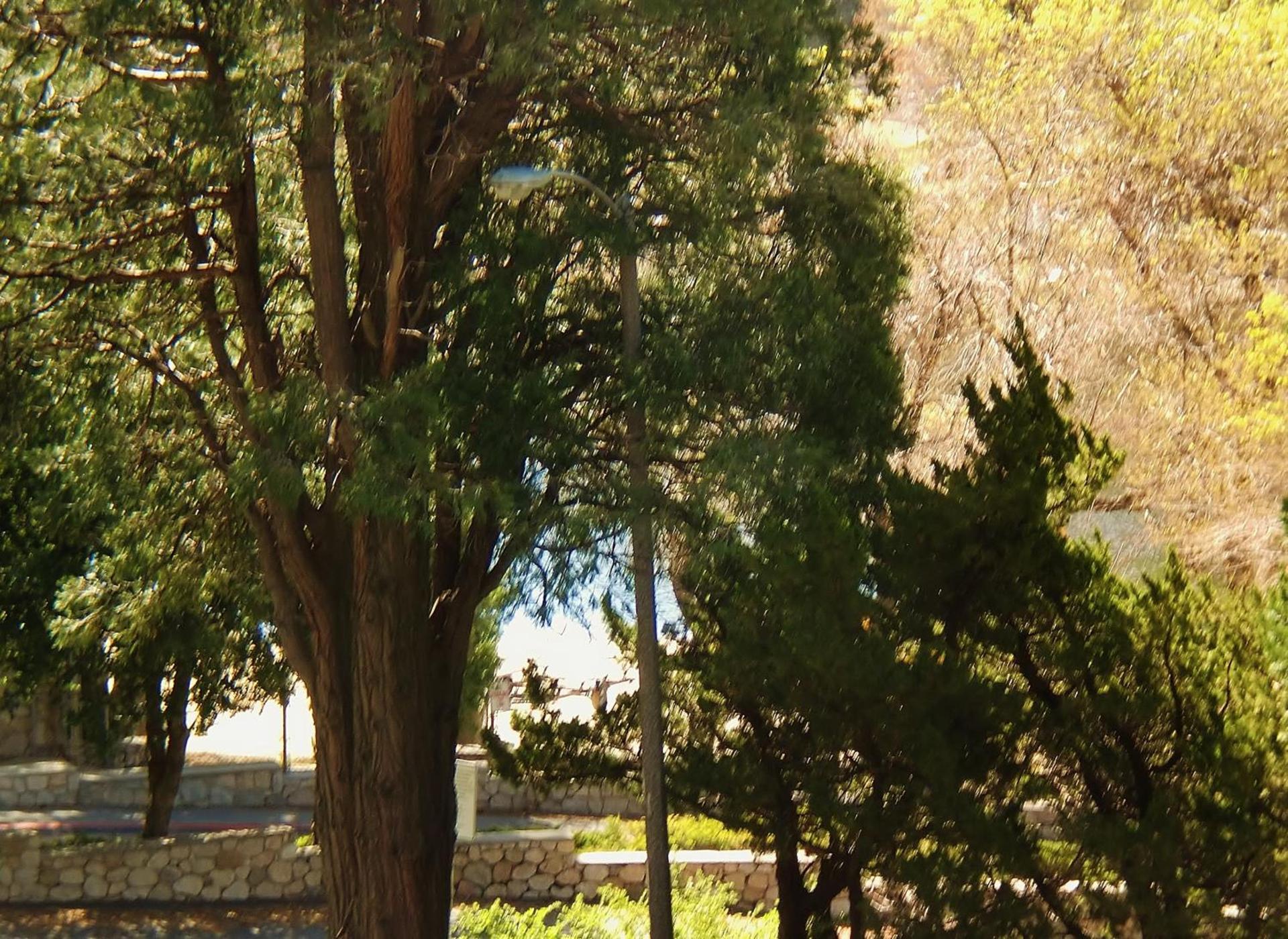 The North Shore Inn photo 63