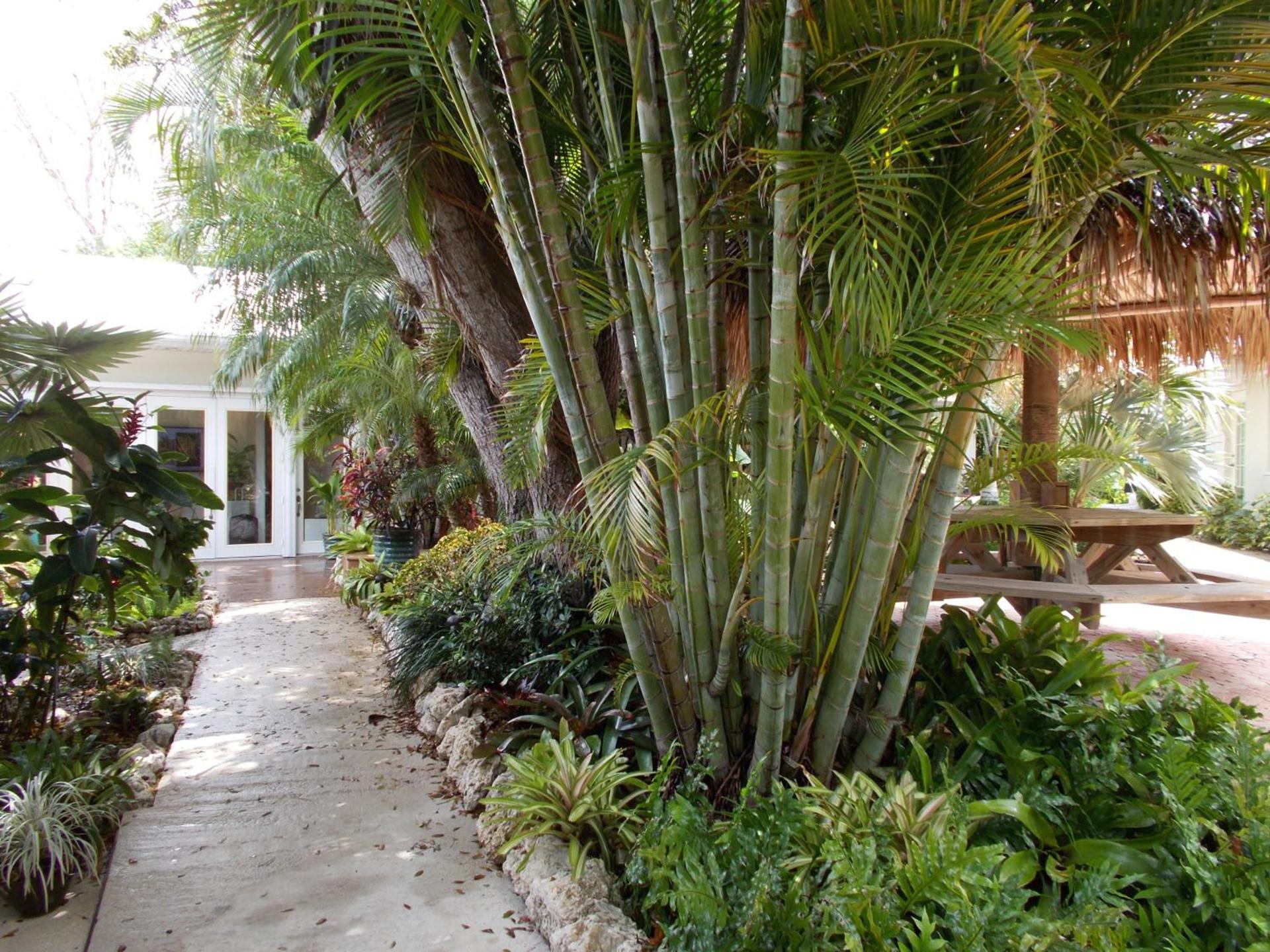 Kona Kai Resort and Gallery photo 78