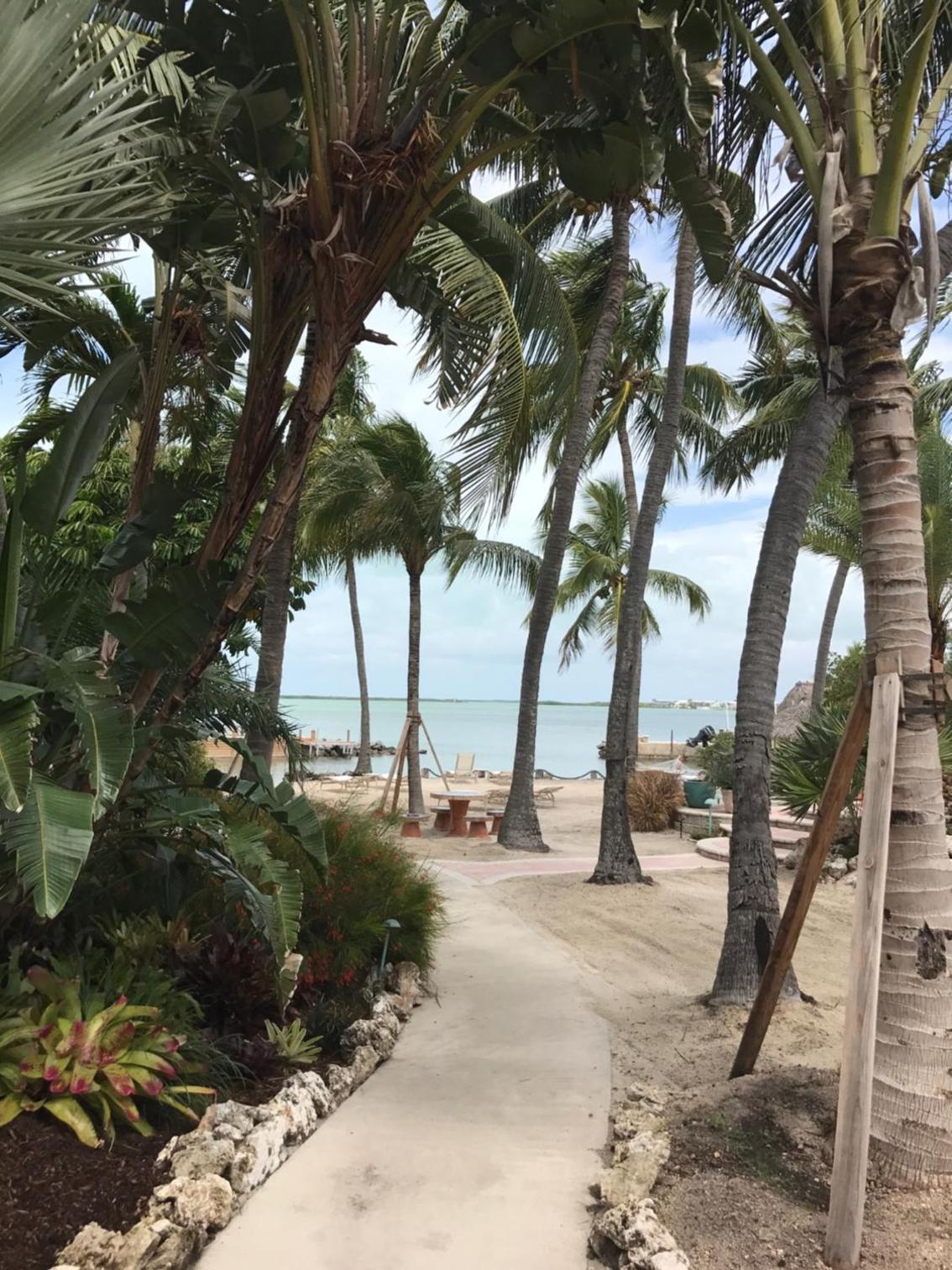 Kona Kai Resort and Gallery photo 14