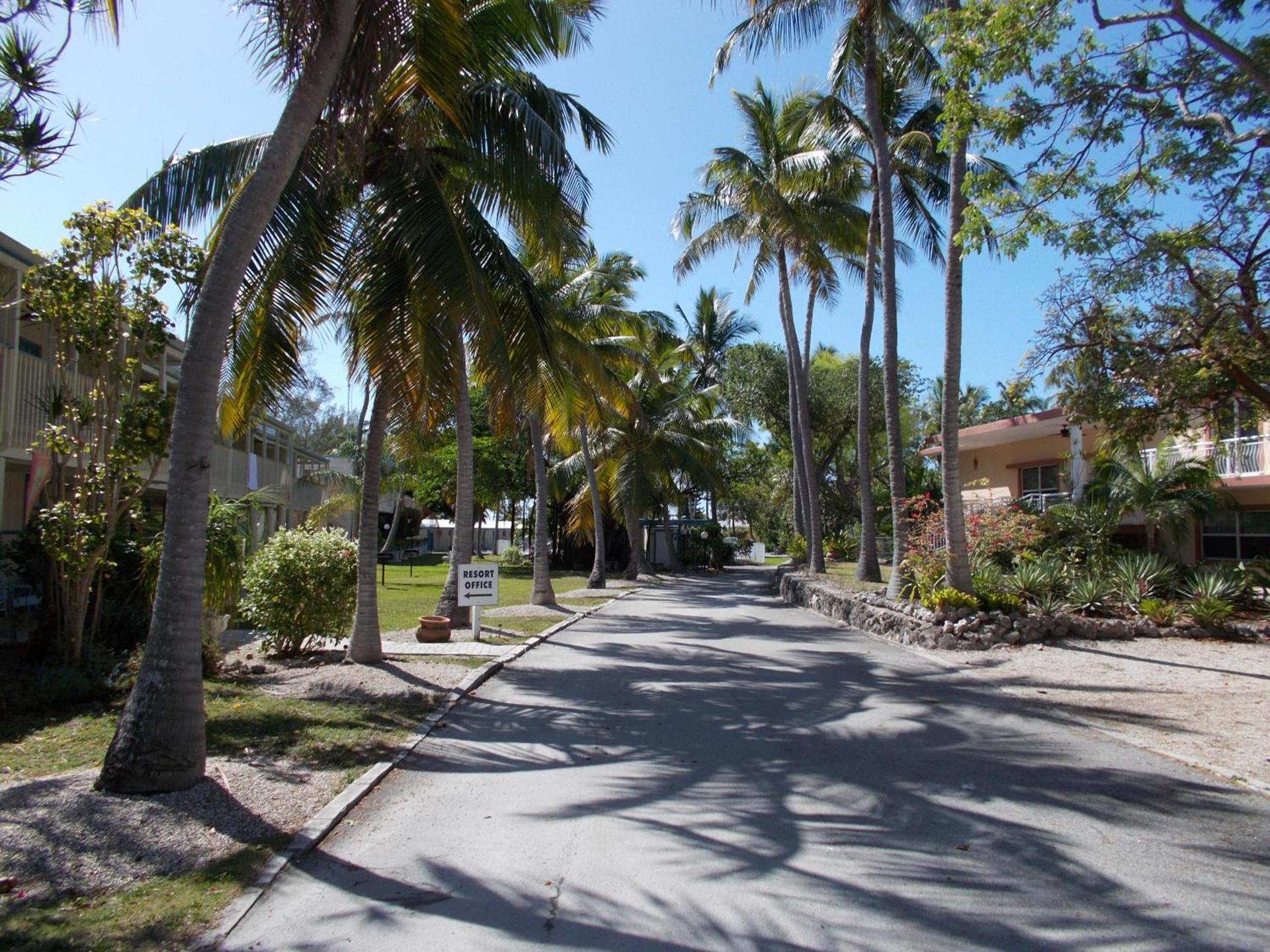 Matecumbe Resort photo 18