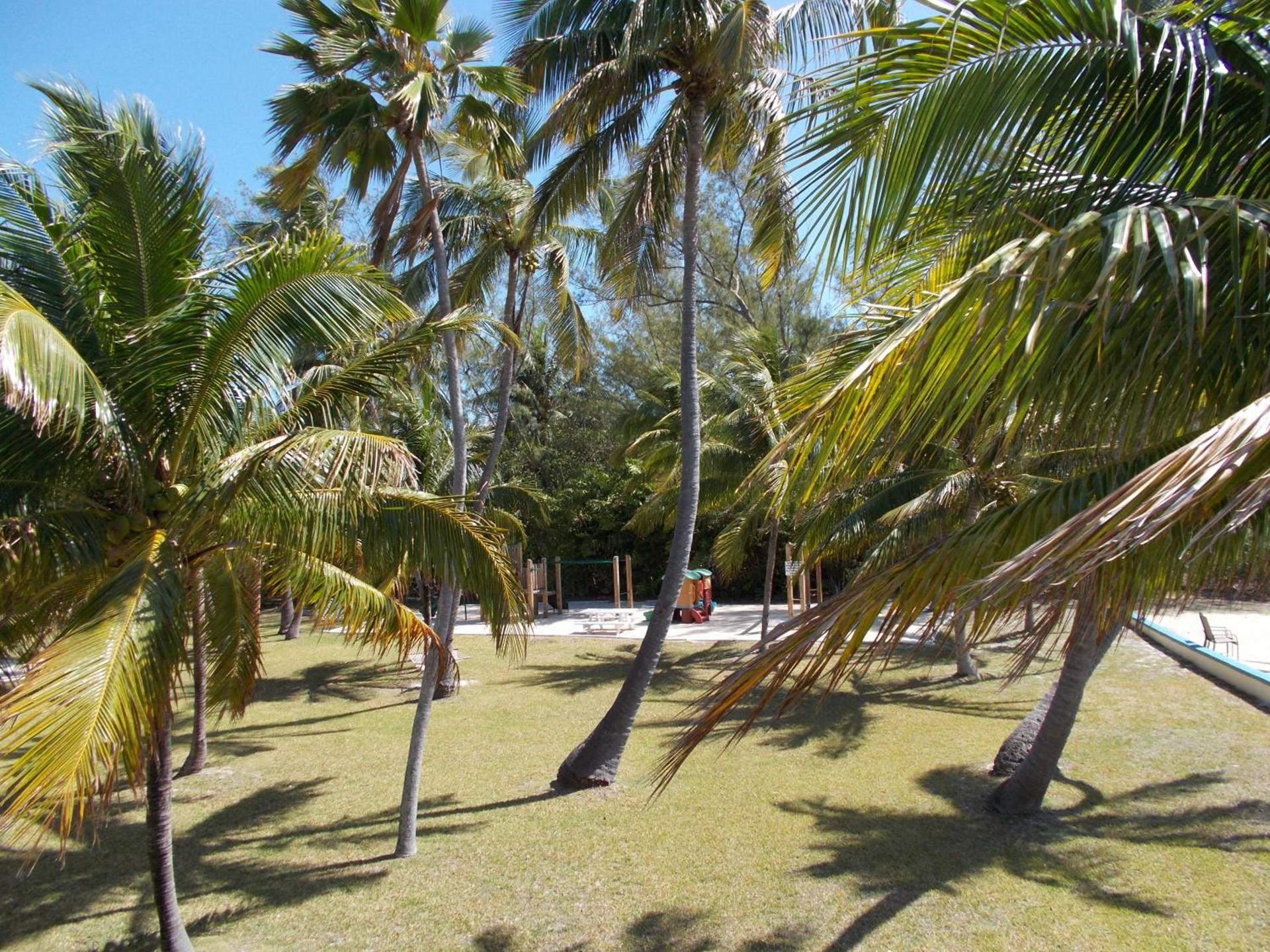 Matecumbe Resort photo 13