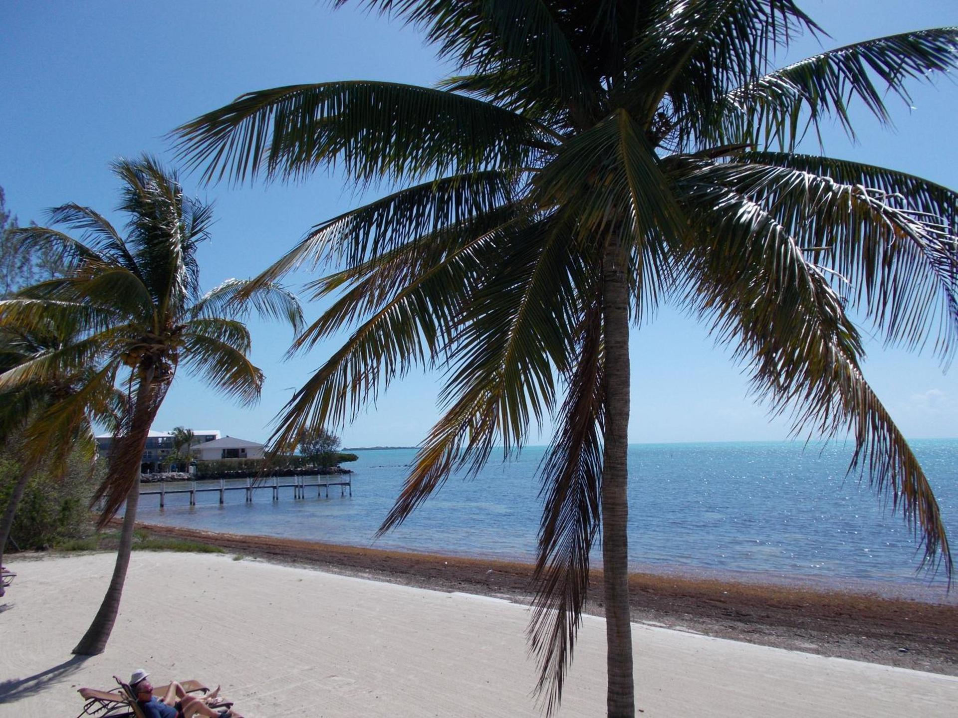 Matecumbe Resort photo 15