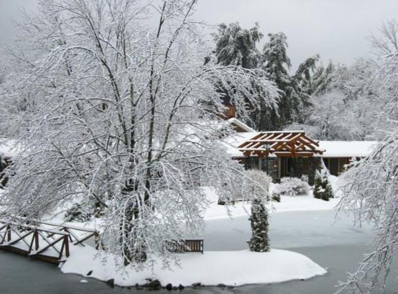 Village Inn - Blowing Rock photo 4