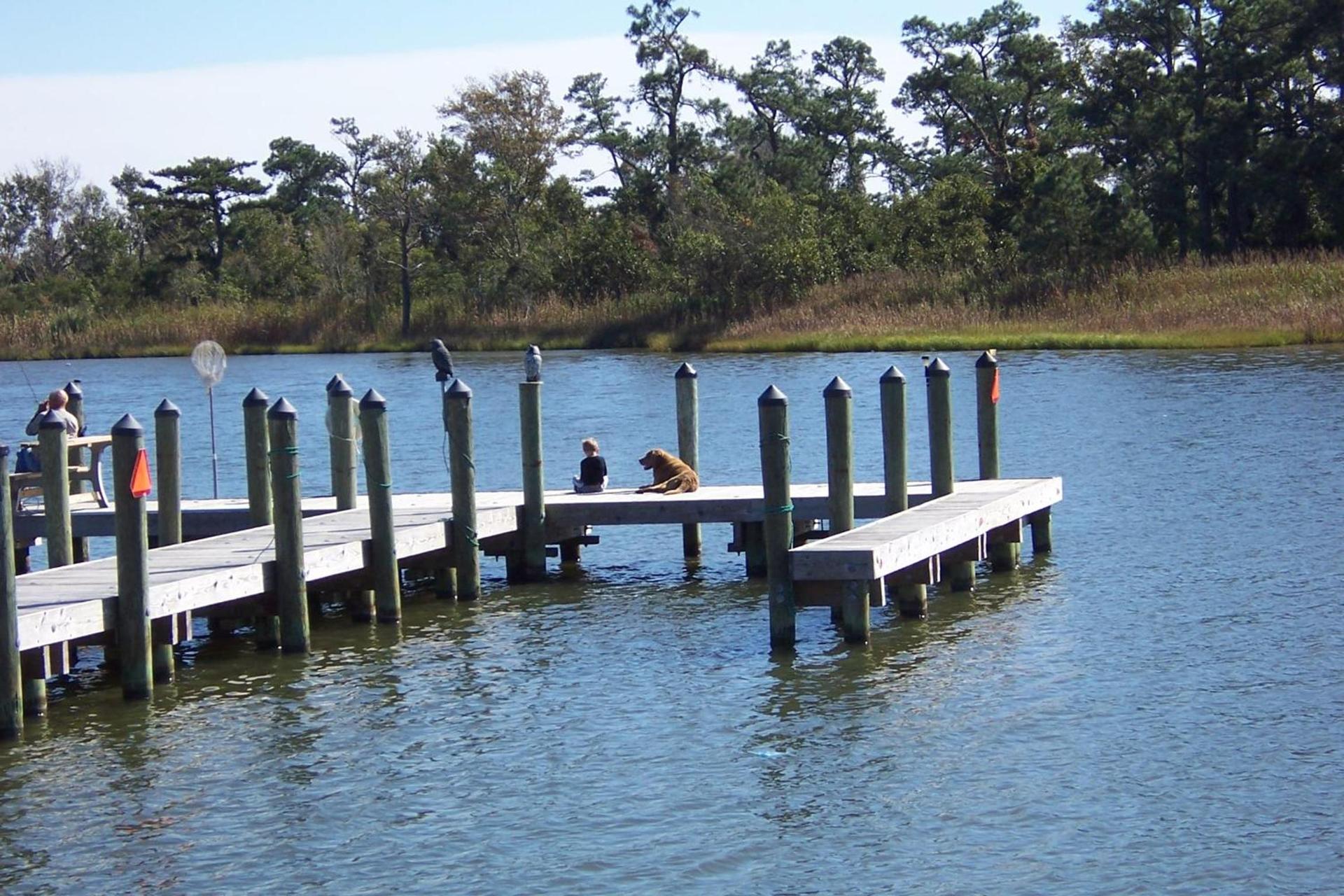 Hyde County Lodges photo 14
