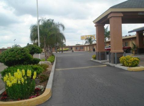 Village Inn photo 7