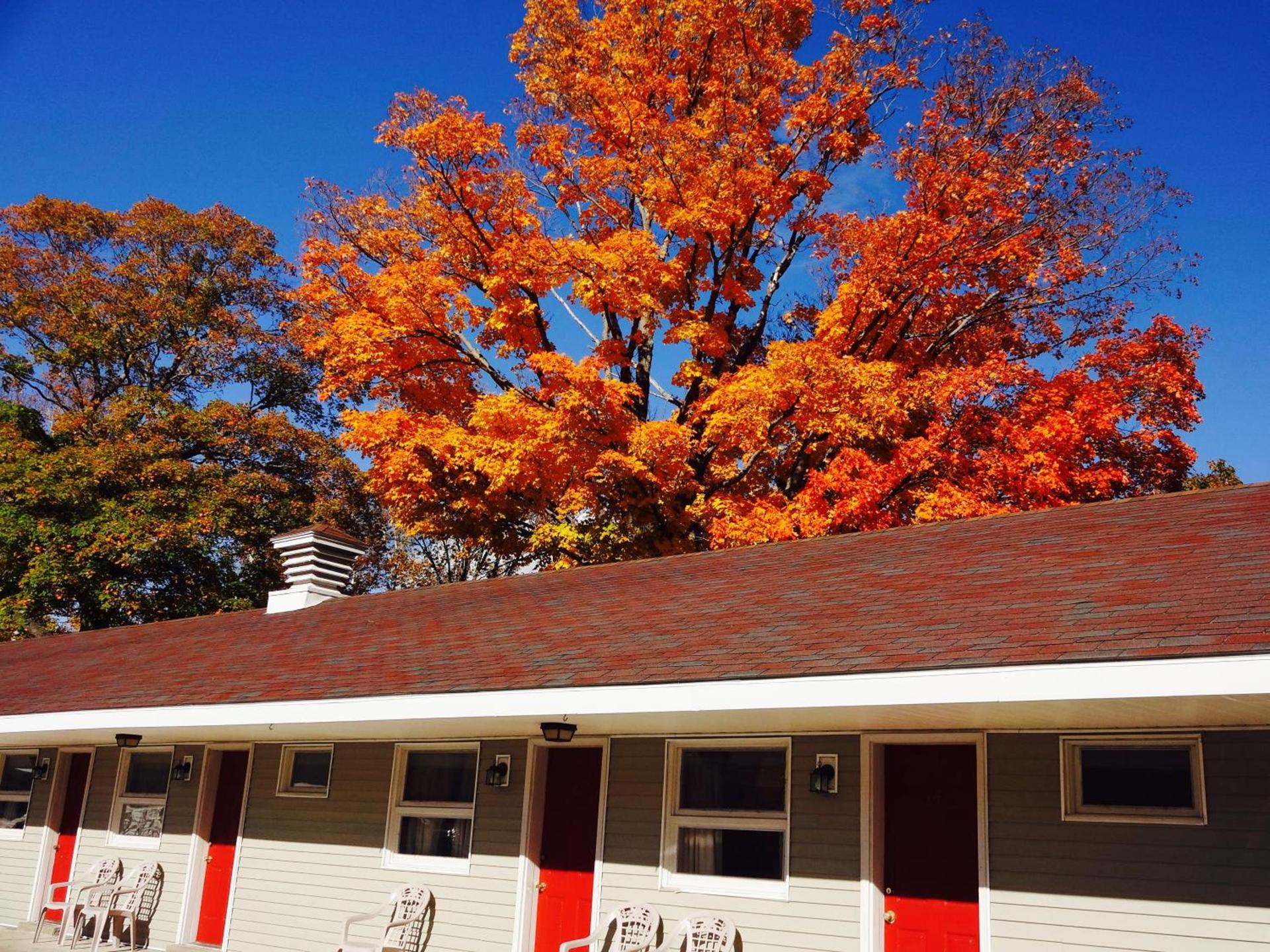 Gorham Motor Inn photo 24