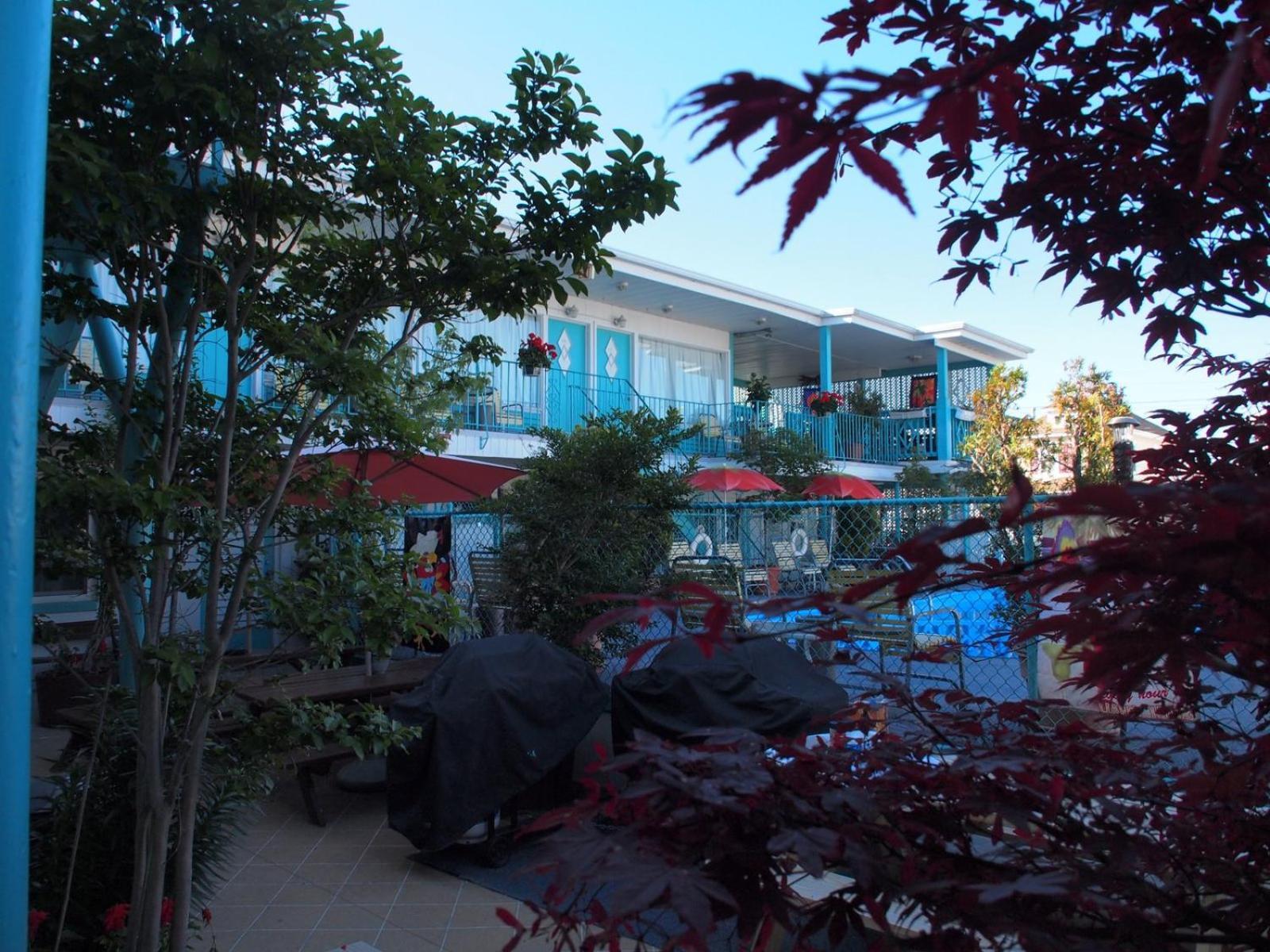 Suitcase Motel & Travel photo 2