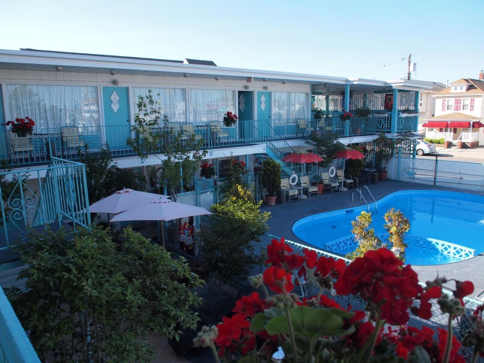 Suitcase Motel & Travel photo 4