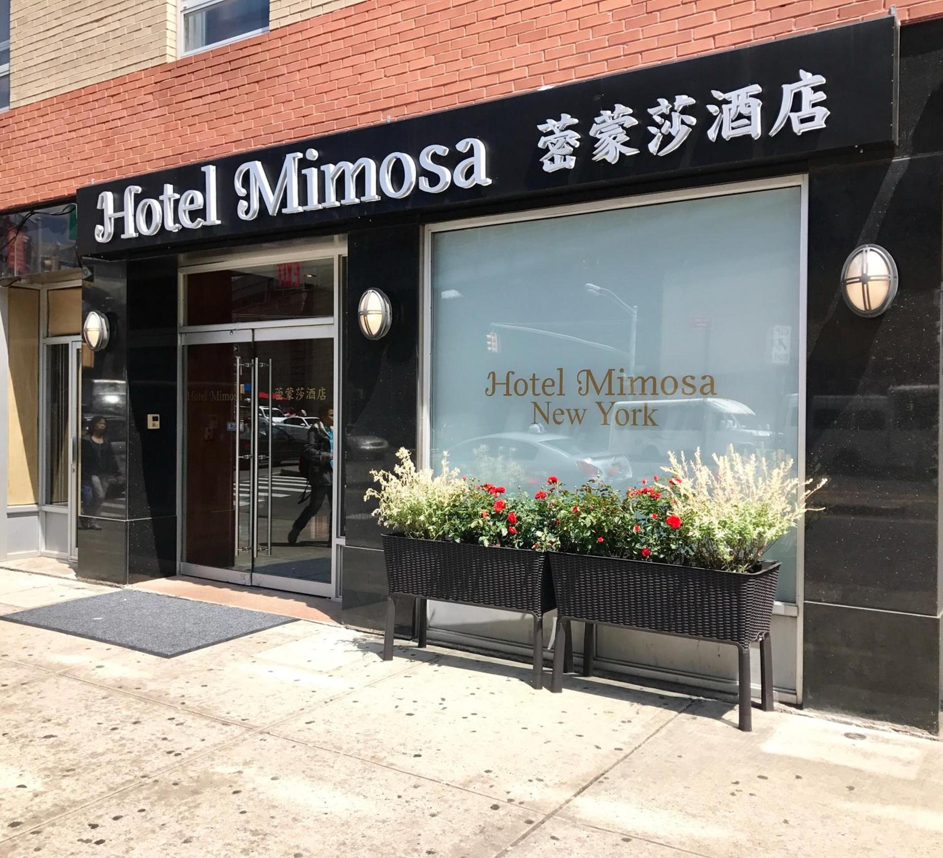 Hotel Mimosa photo 30