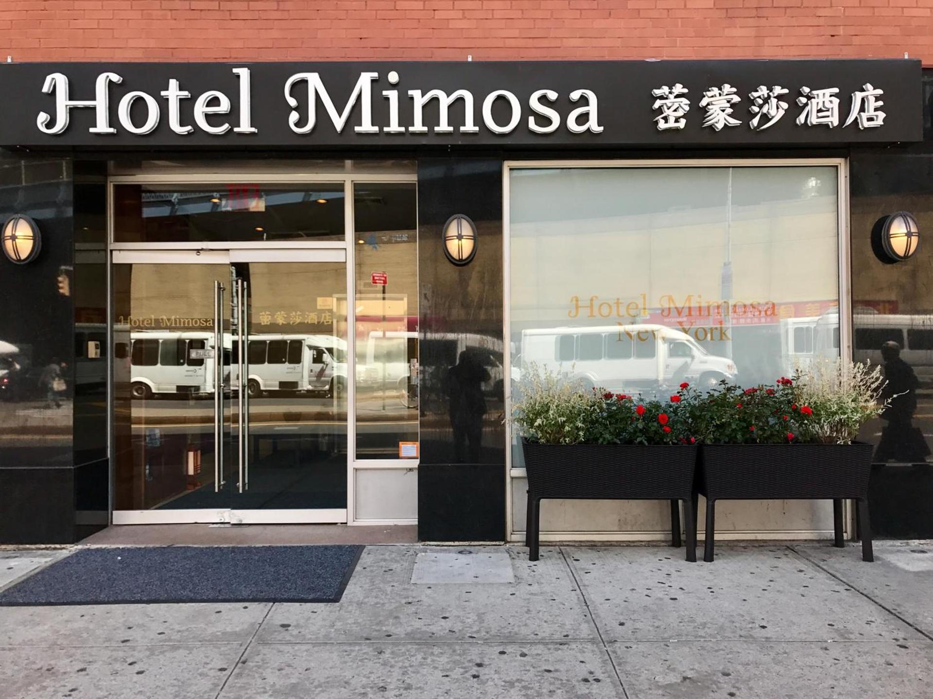 Hotel Mimosa photo 18