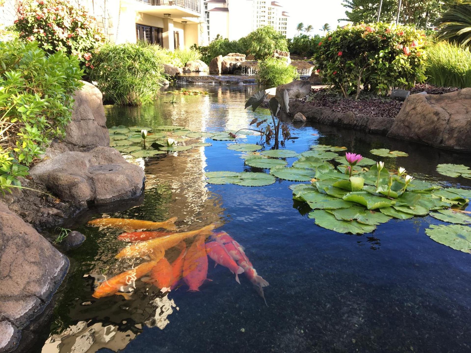 Beach Villa at Ko'Olina photo 25
