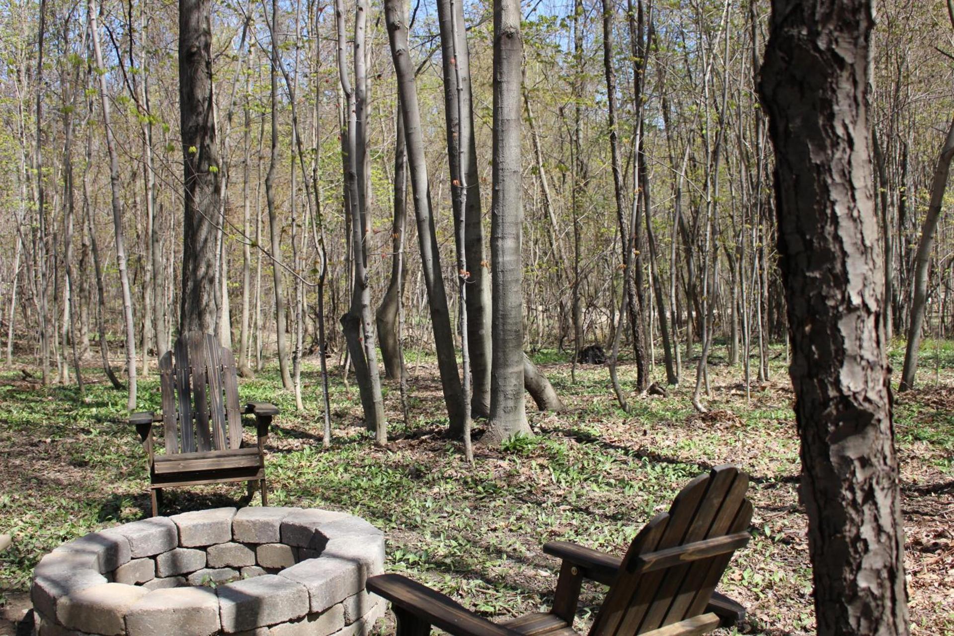 Vineyard Woods photo 76
