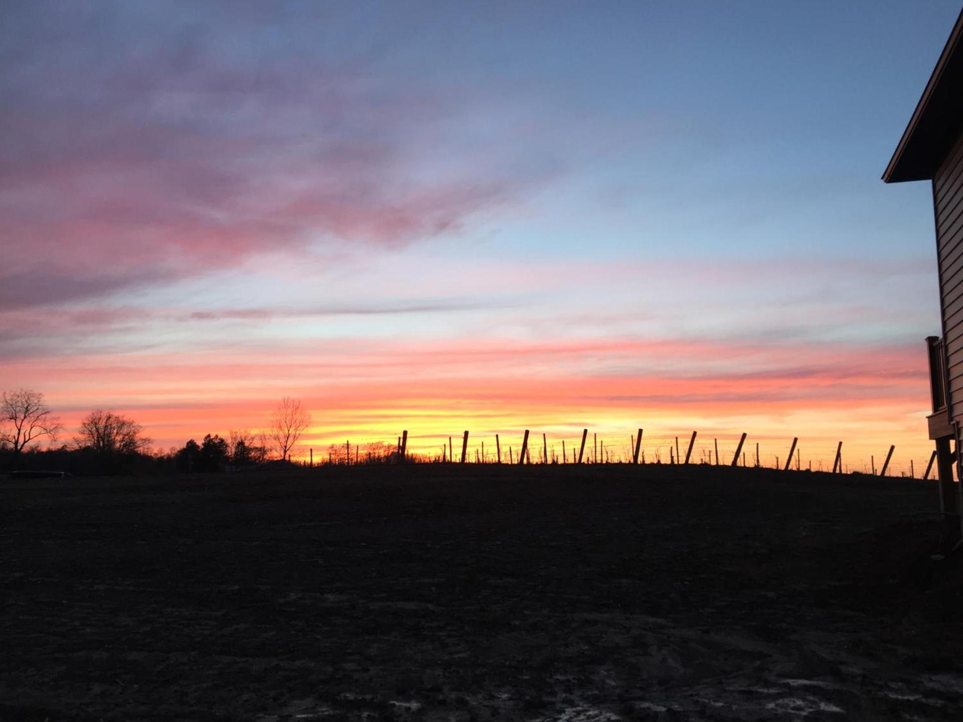 Vineyard Woods photo 84
