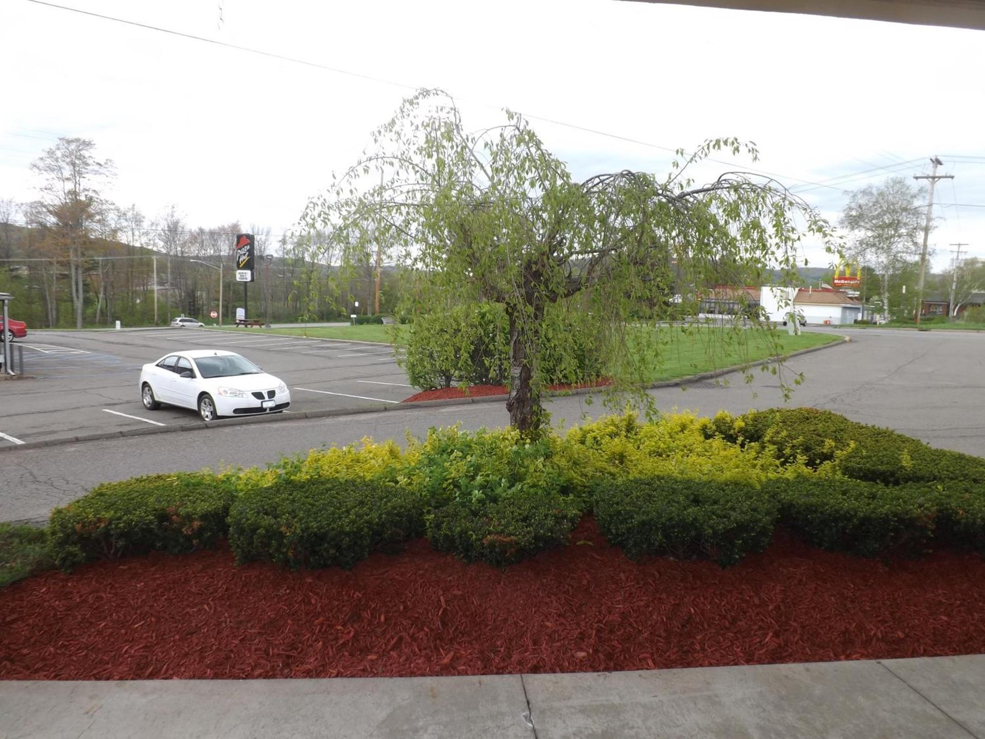 Super 8 by Wyndham Sidney NY photo 11