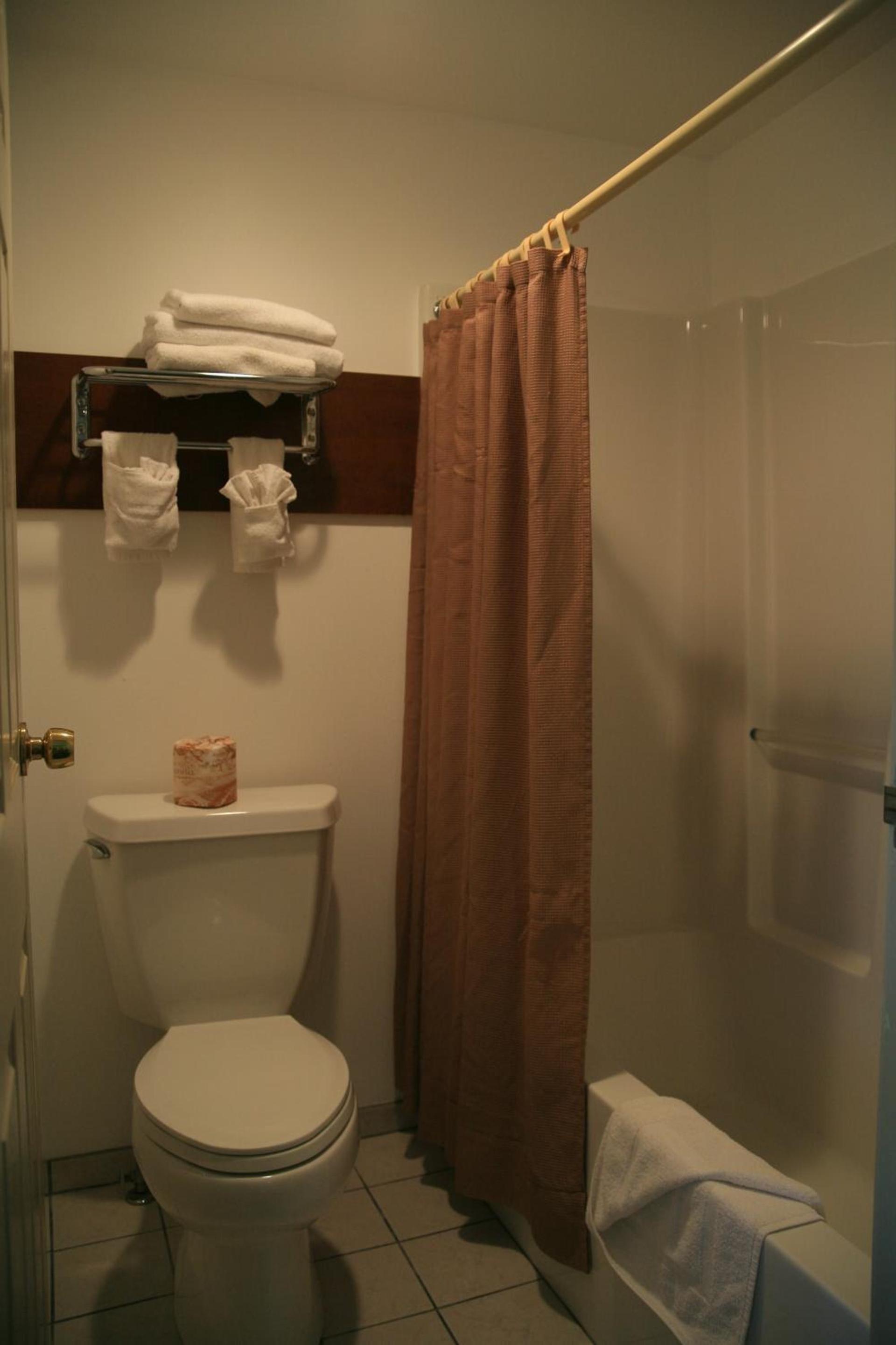 Econo Lodge Inn & Suites Montrose - Black Canyon Area photo 28