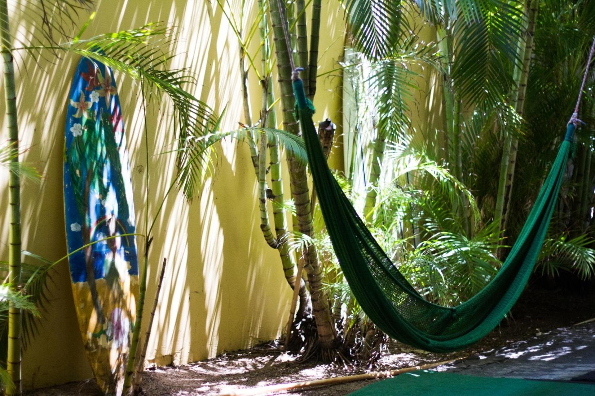 Polynesian Hostel Beach Club photo 12