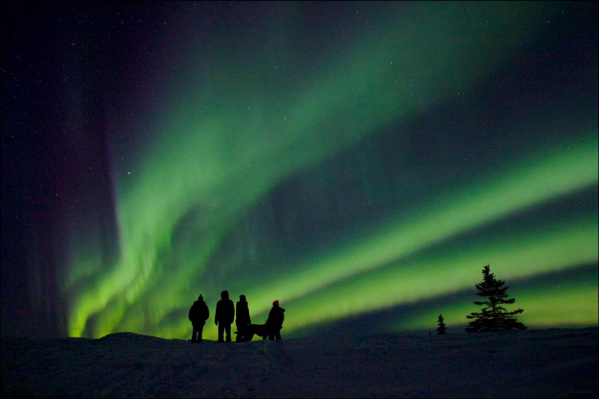 Caribou Lodge Alaska photo 25